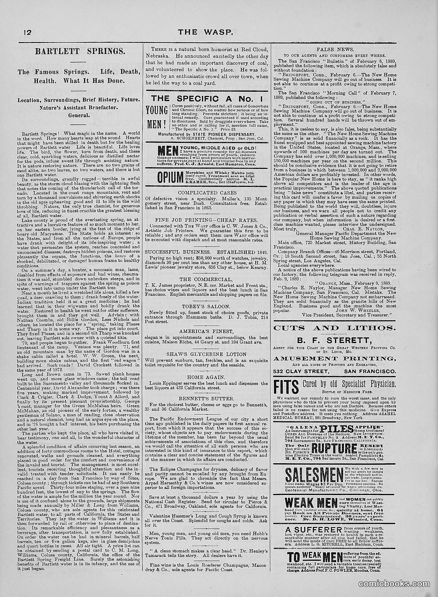 The Wasp — 1889 — page 373 of 440