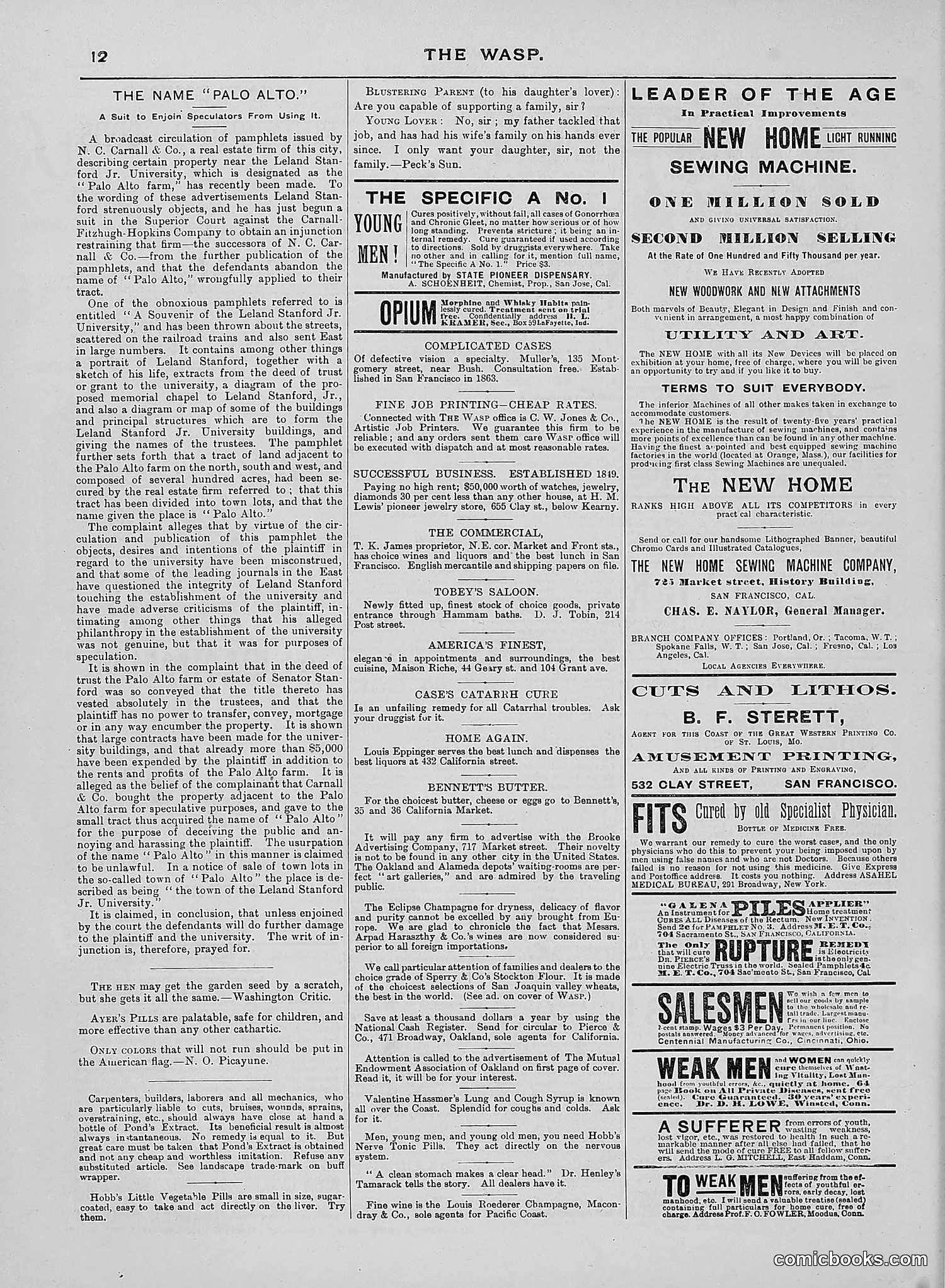 The Wasp — 1889 — page 389 of 440