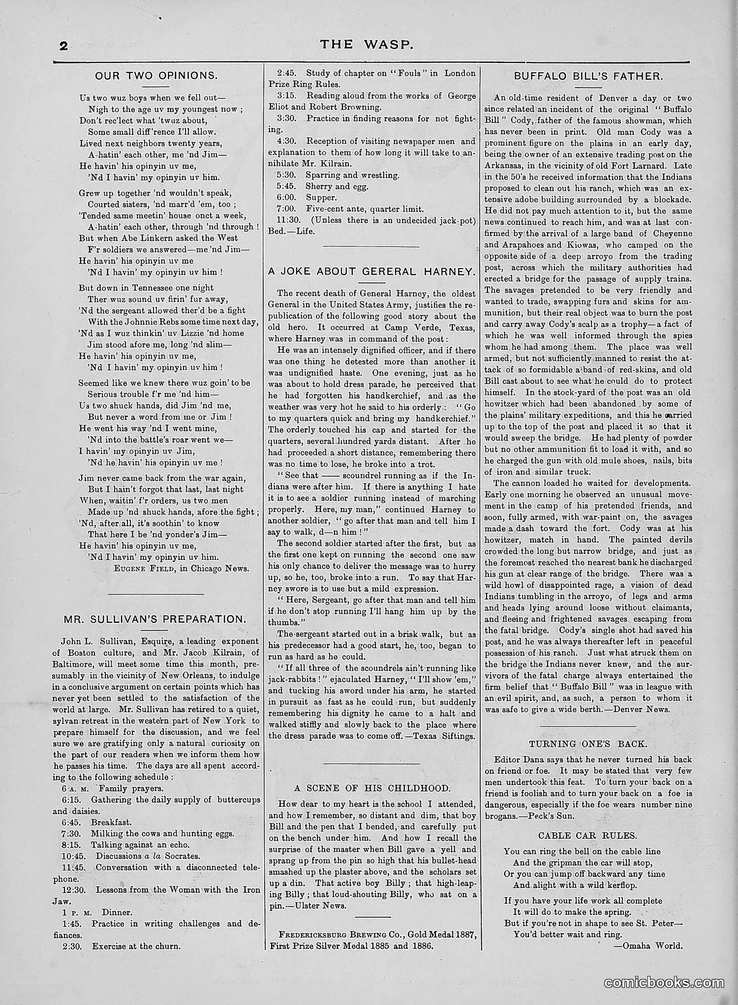 The Wasp — 1889 — page 411 of 440