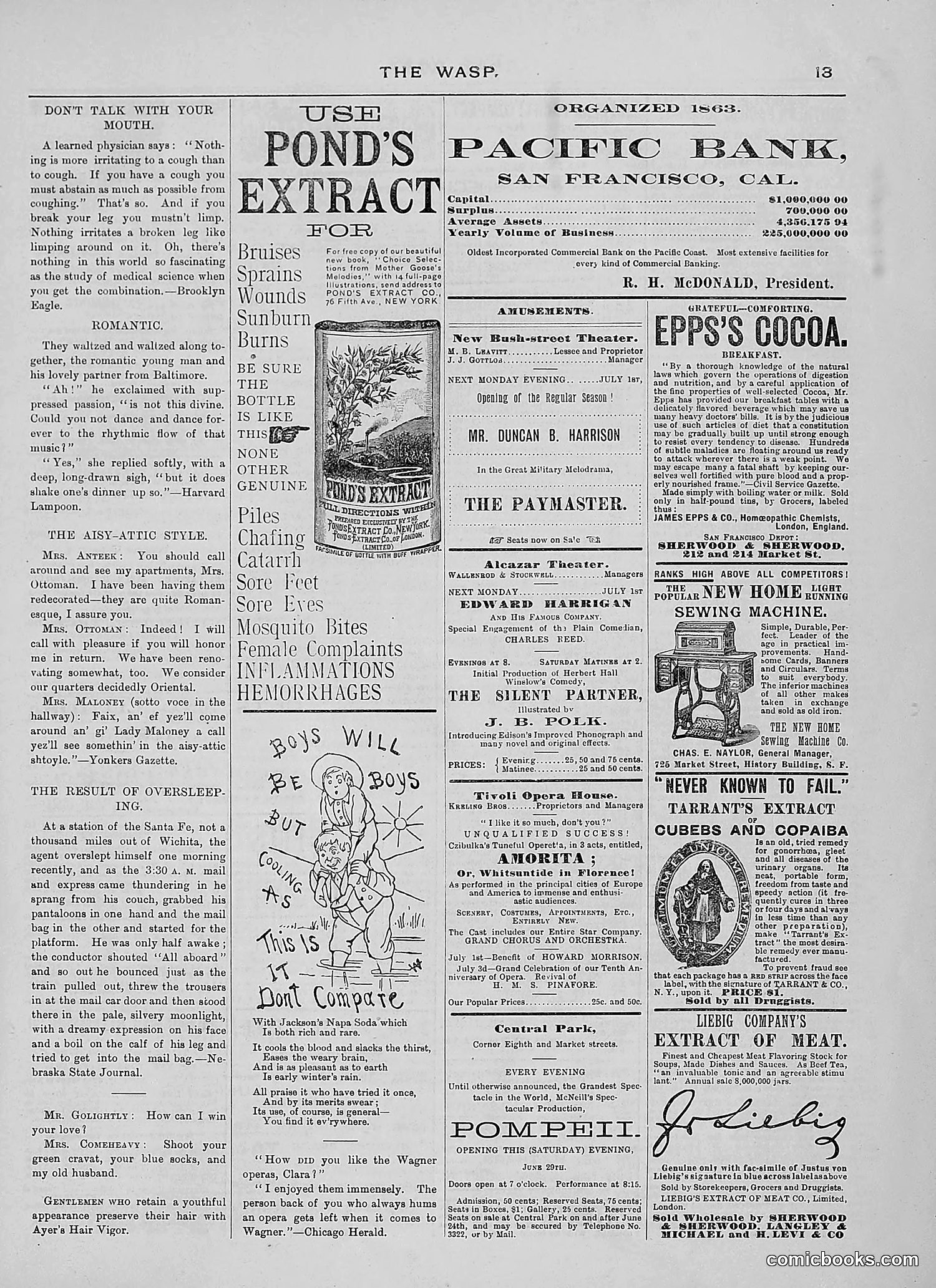 The Wasp — 1889 — page 438 of 440