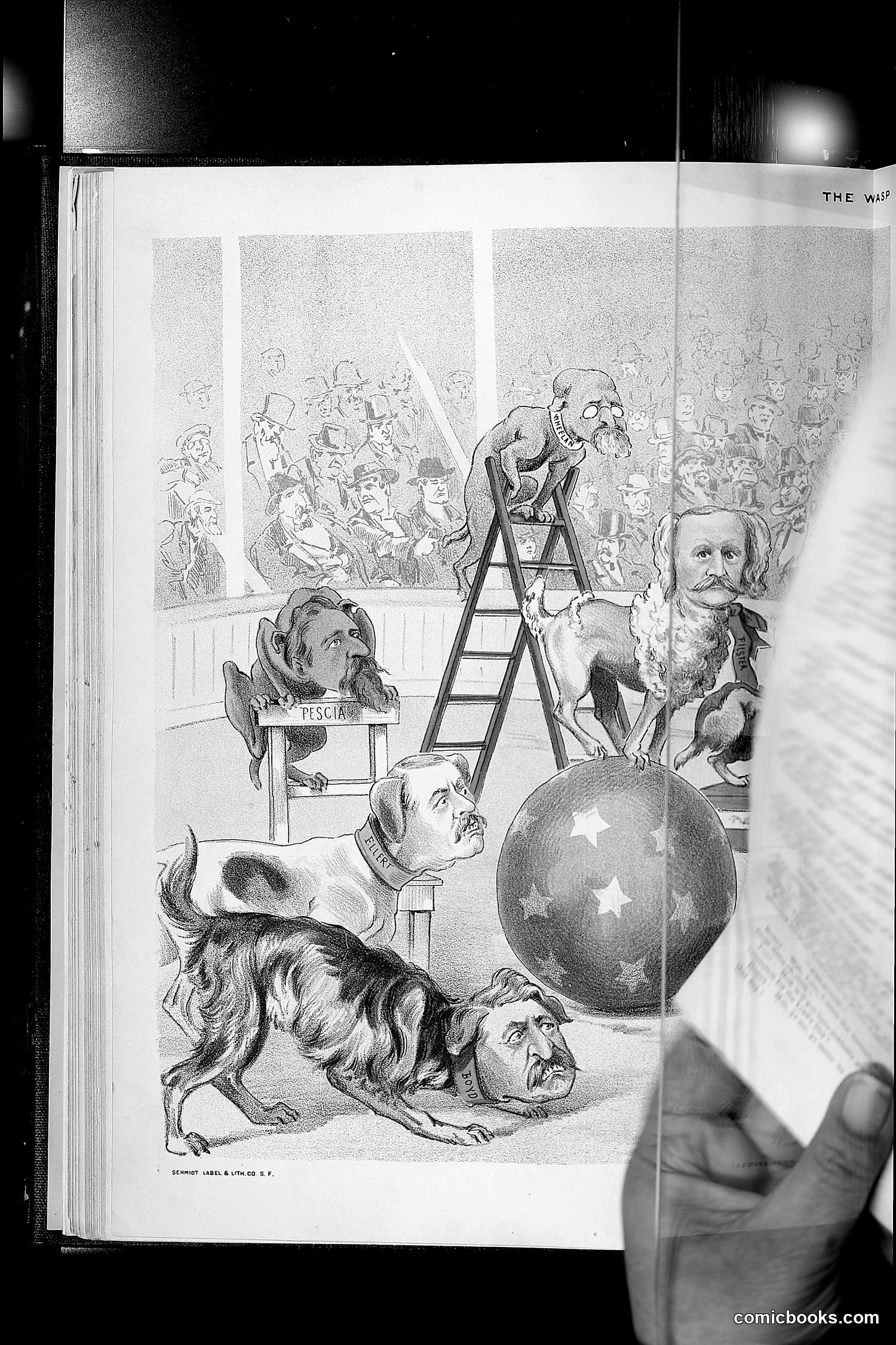 The Wasp — 1889 — page 67 of 440