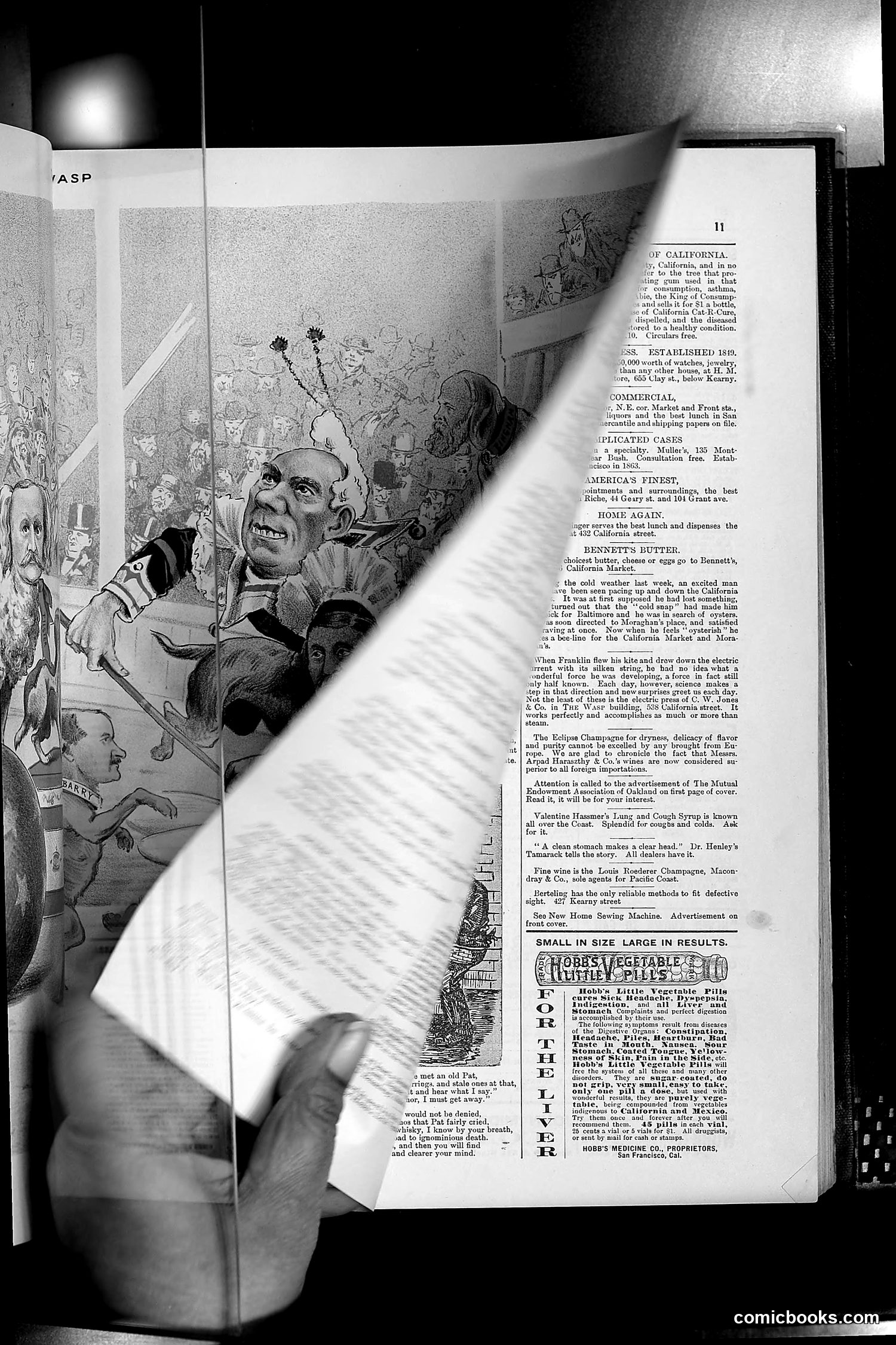 The Wasp — 1889 — page 68 of 440