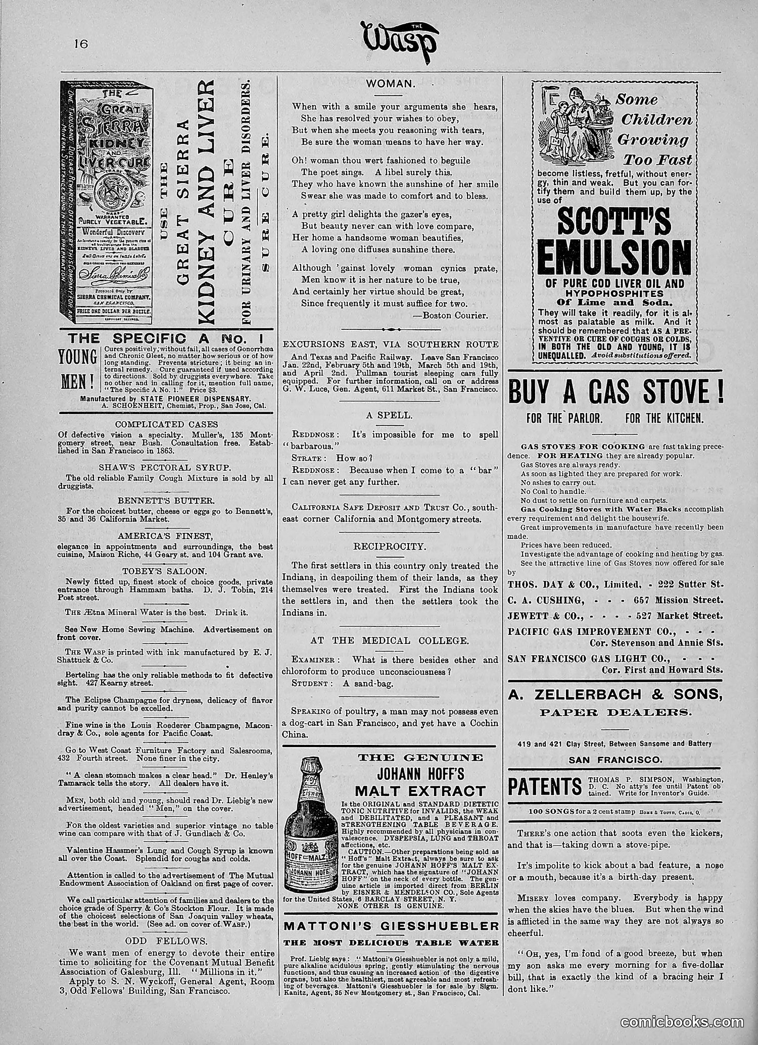 The Wasp — 1890 — page 101 of 516