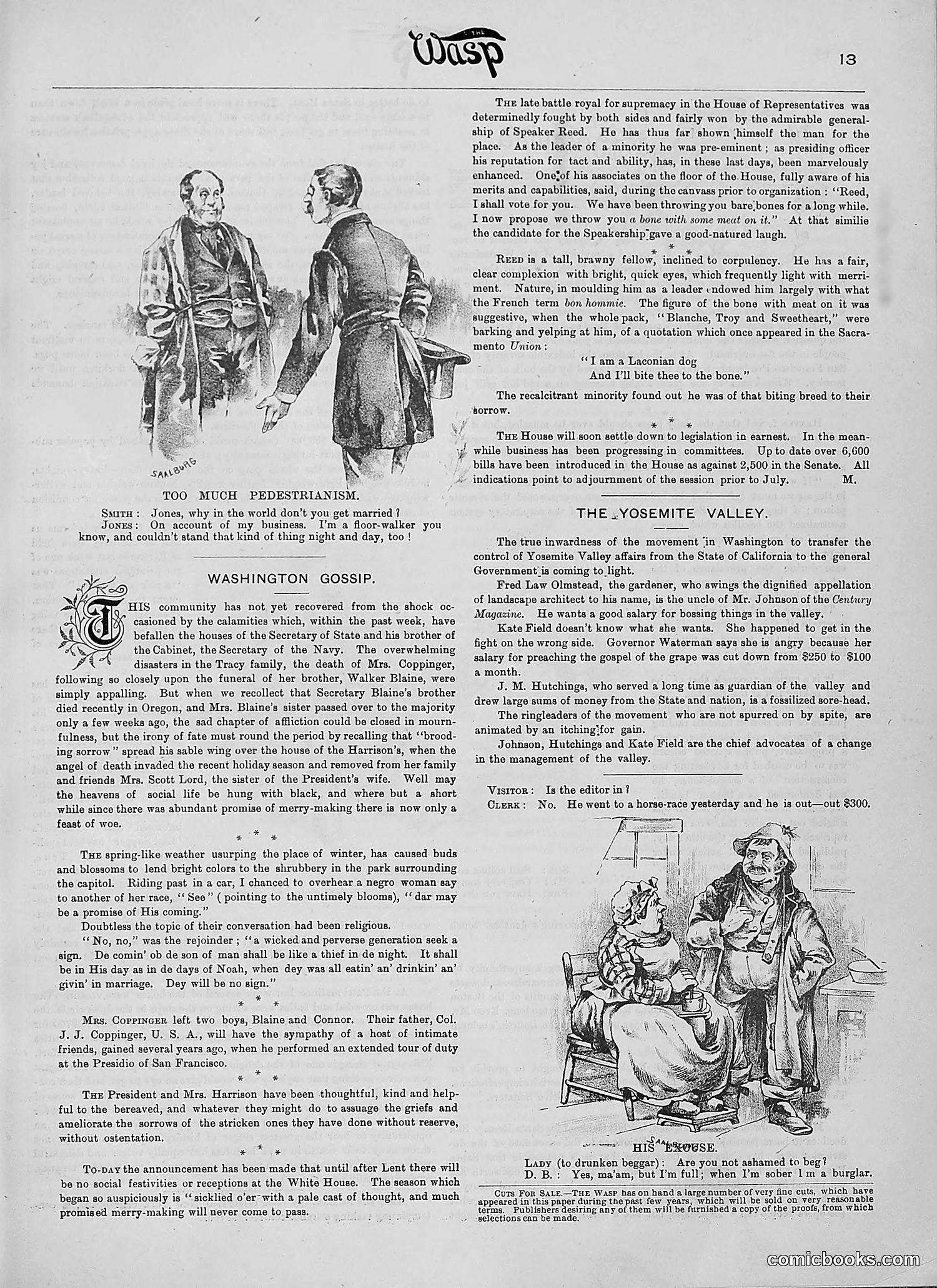 The Wasp — 1890 — page 138 of 516