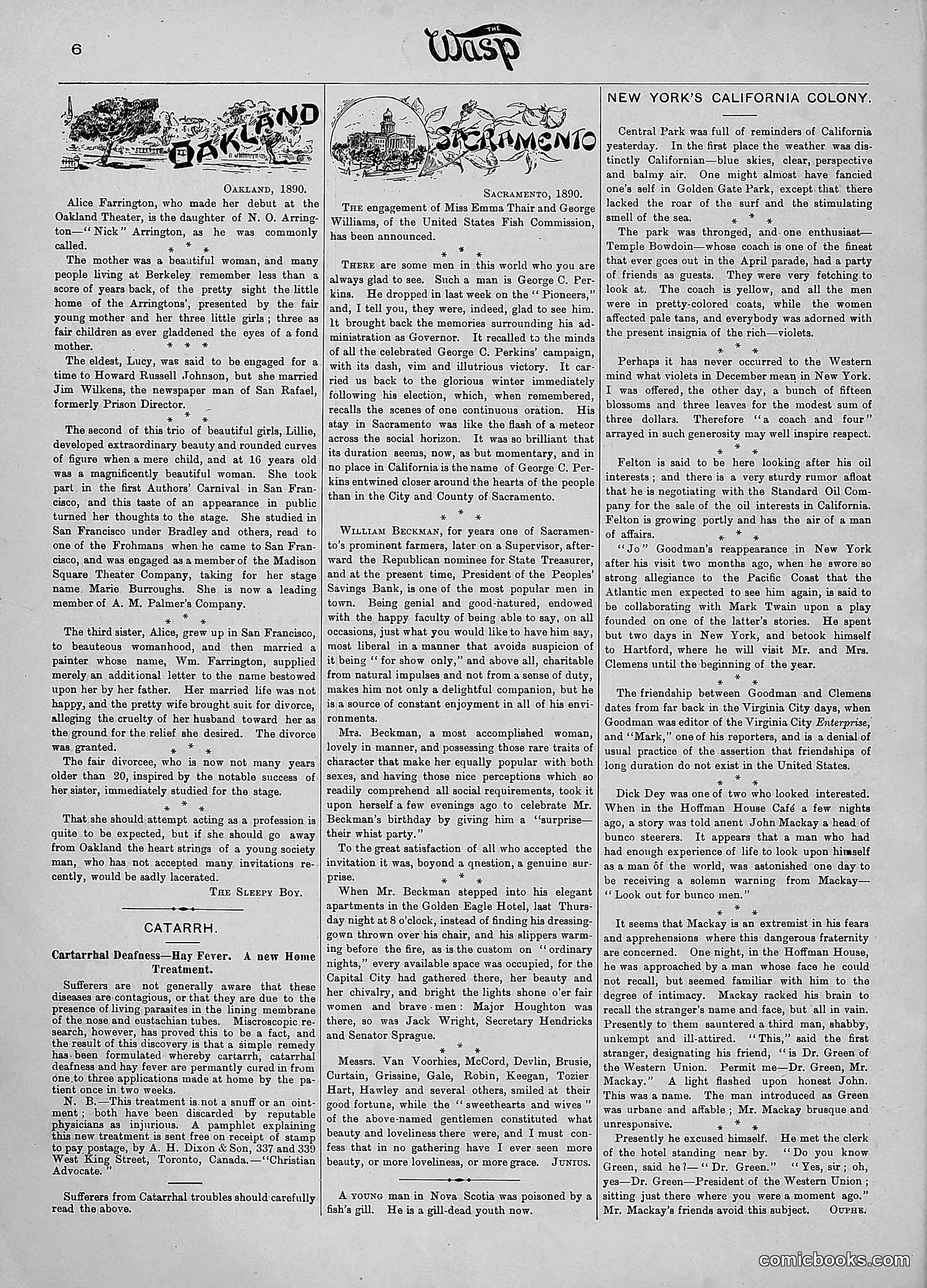 The Wasp — 1890 — page 15 of 516