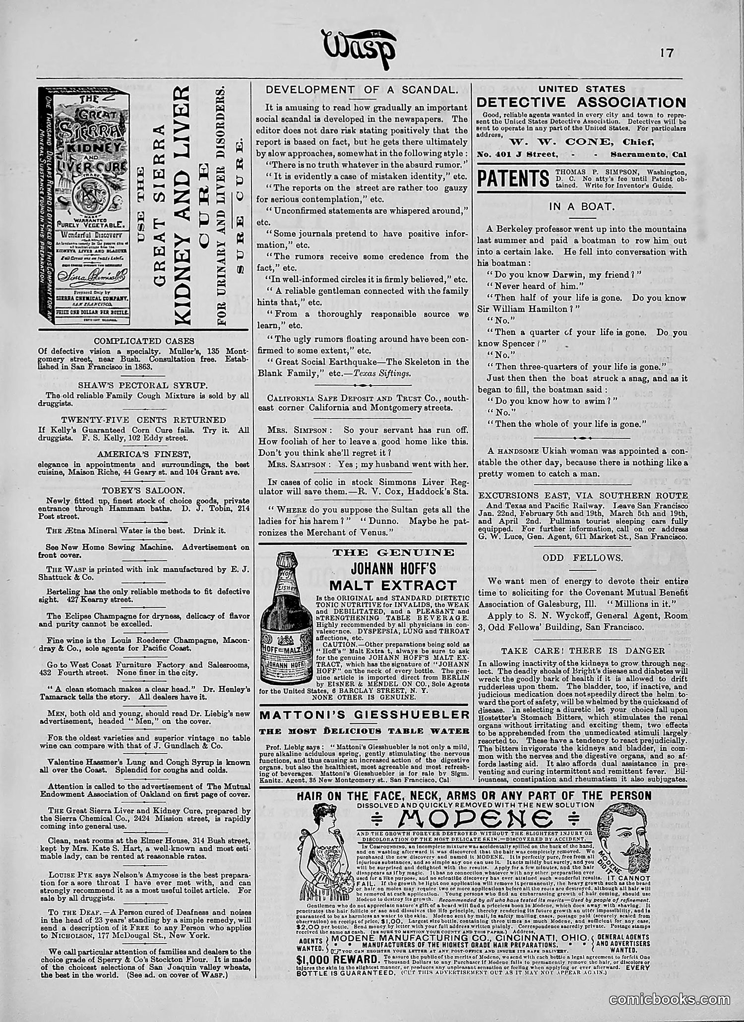 The Wasp — 1890 — page 142 of 516