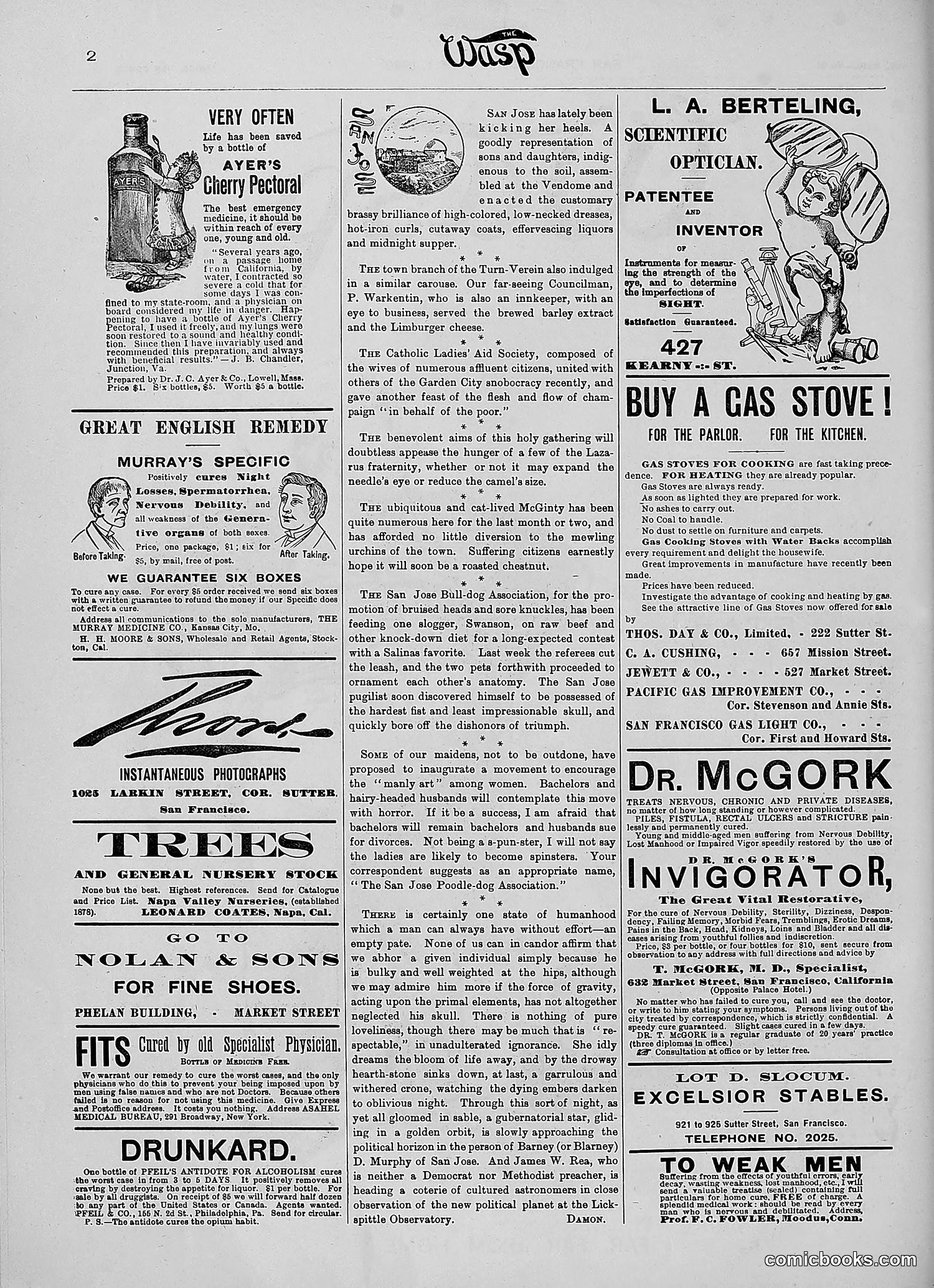 The Wasp — 1890 — page 147 of 516