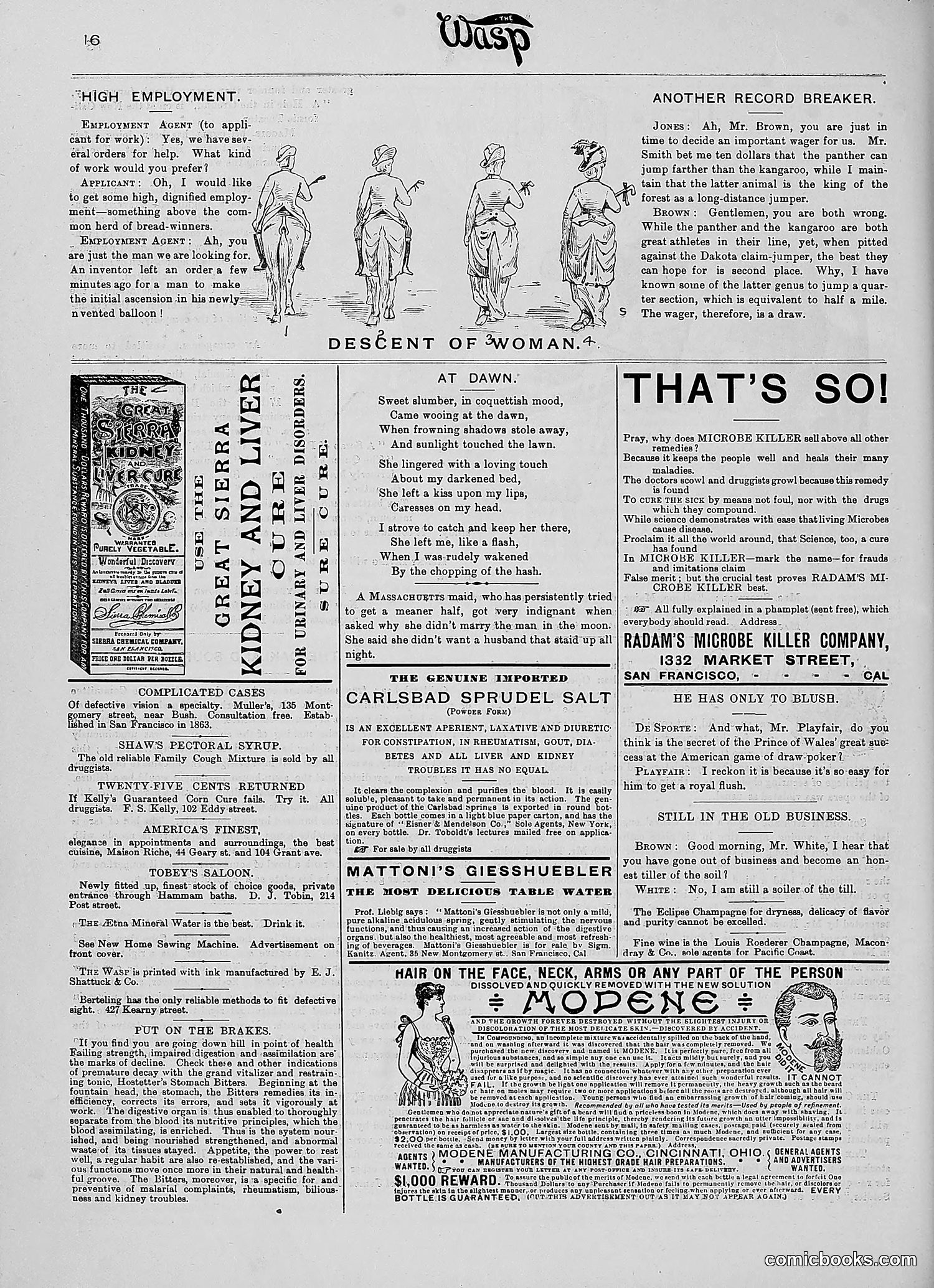 The Wasp — 1890 — page 161 of 516