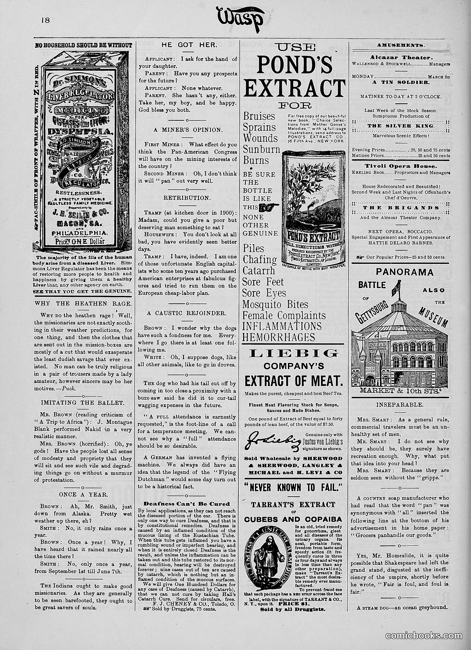 The Wasp — 1890 — page 163 of 516