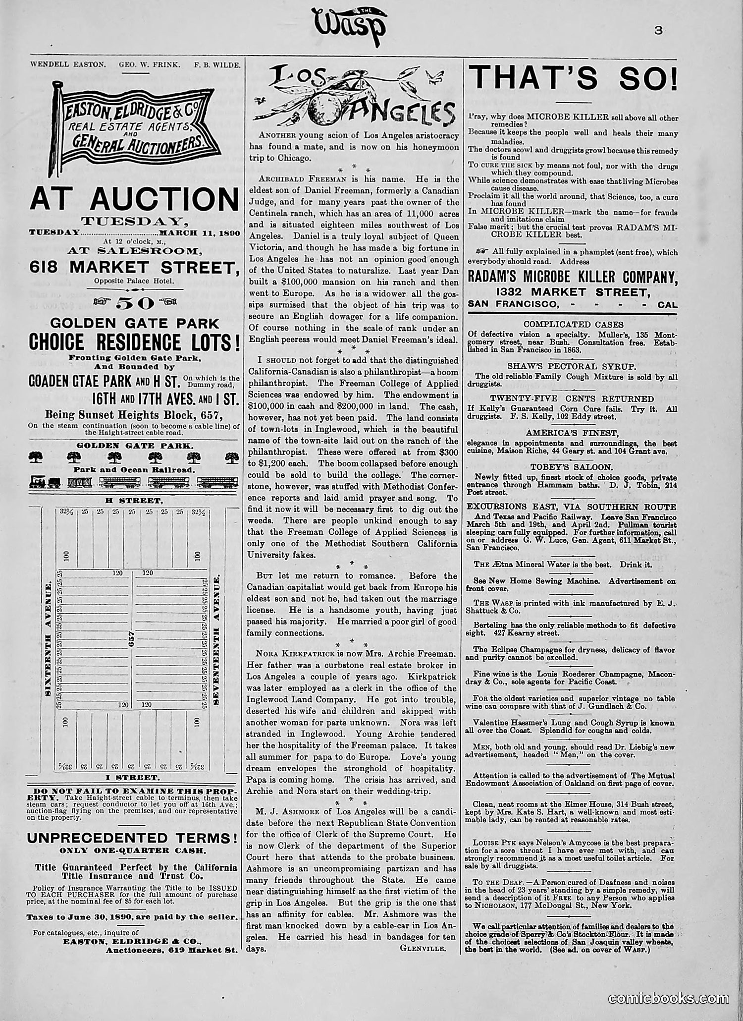 The Wasp — 1890 — page 168 of 516