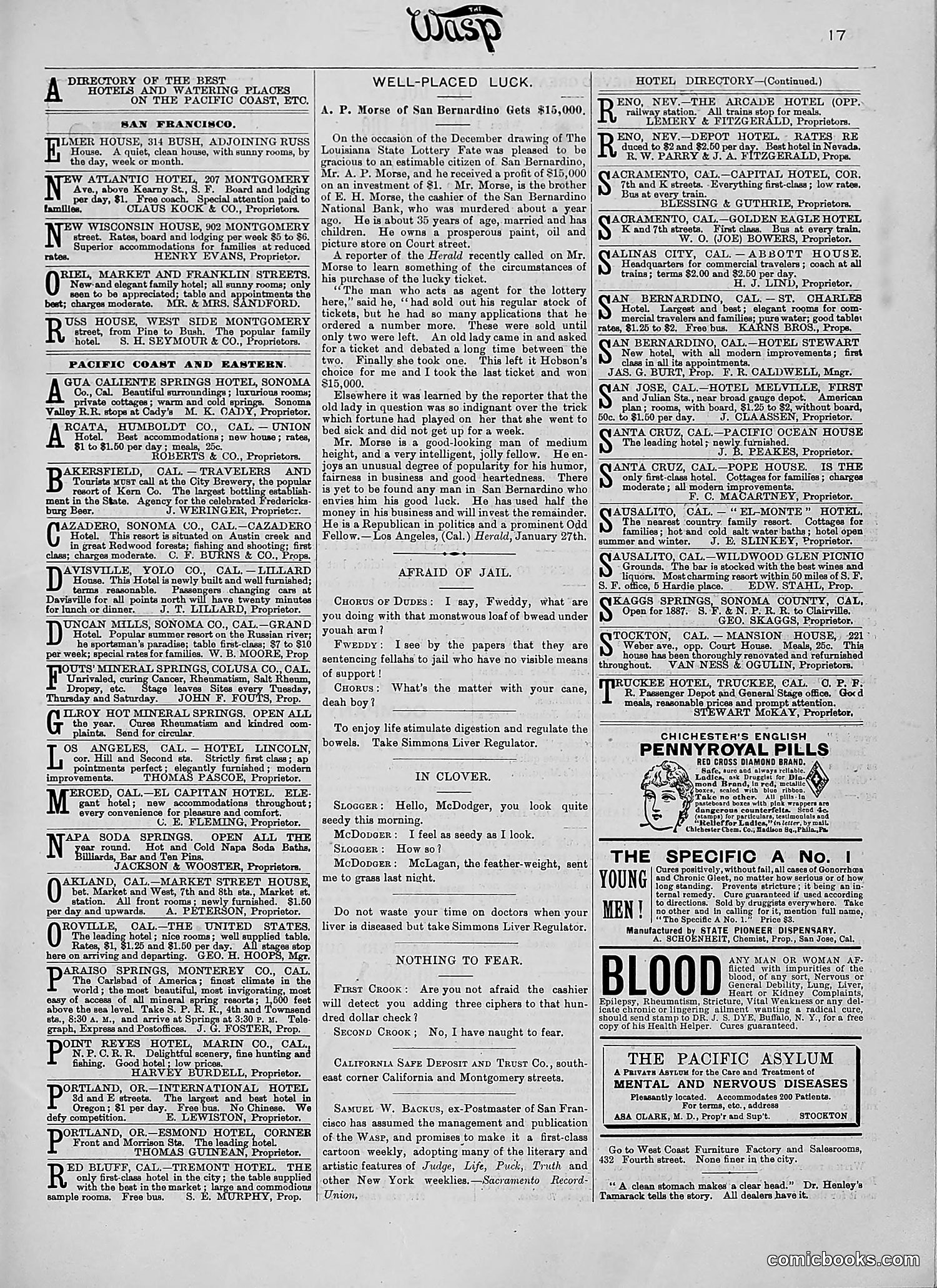 The Wasp — 1890 — page 180 of 516