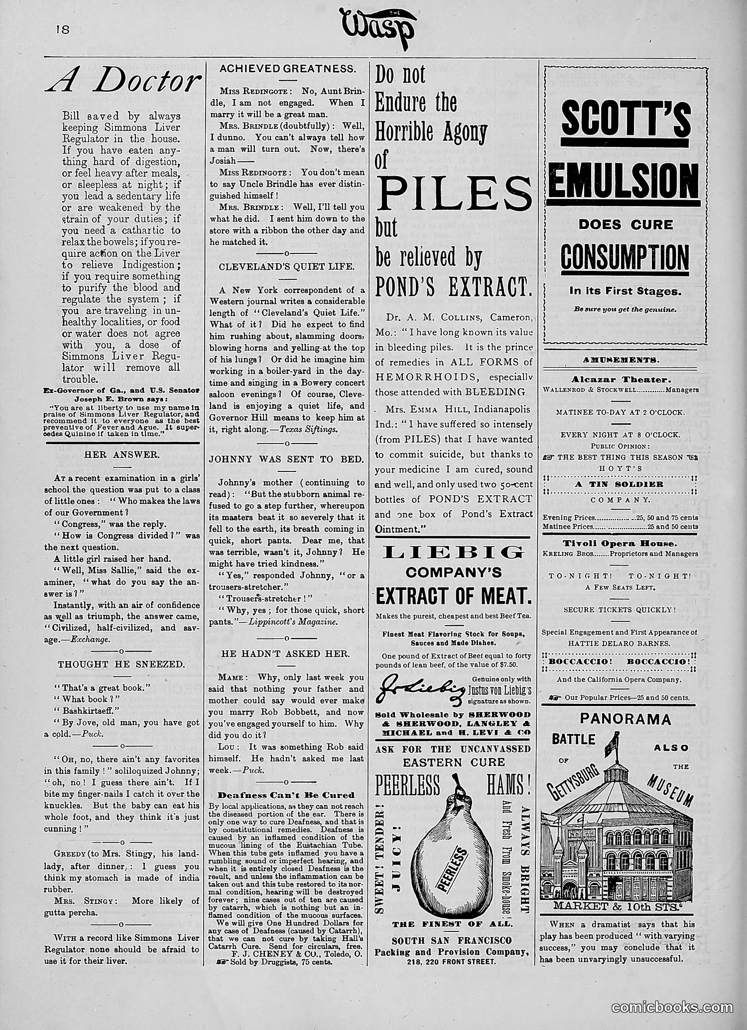 The Wasp — 1890 — page 181 of 516