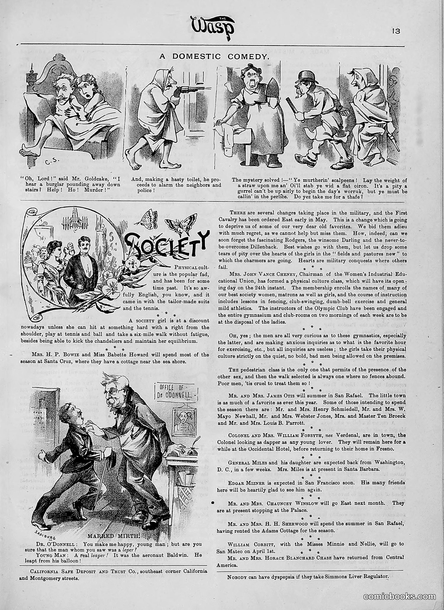 The Wasp — 1890 — page 196 of 516