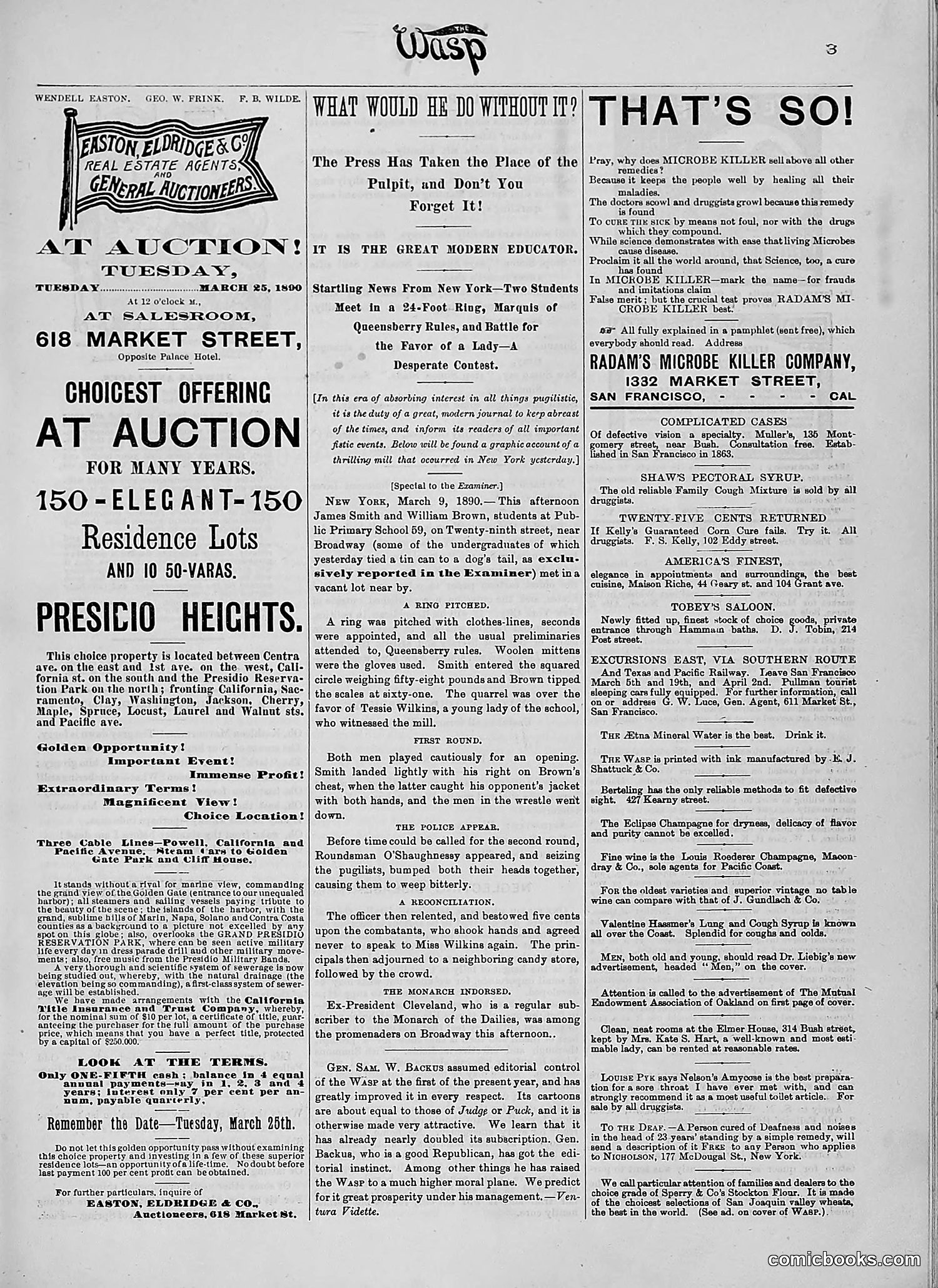 The Wasp — 1890 — page 206 of 516