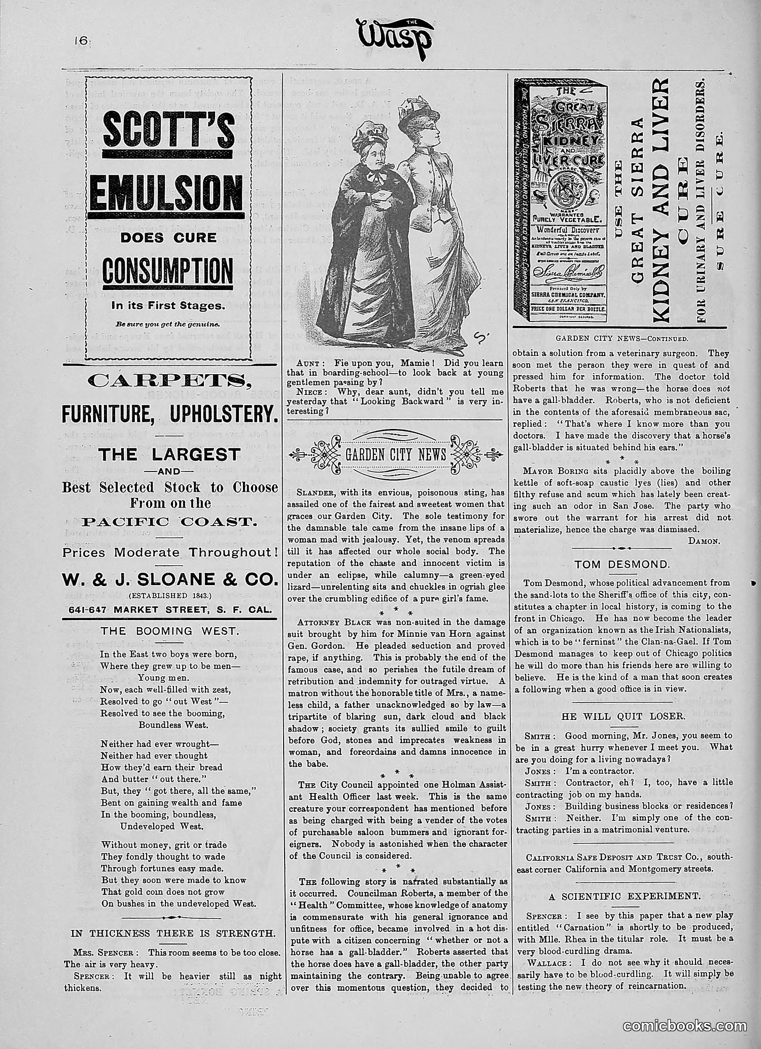 The Wasp — 1890 — page 219 of 516