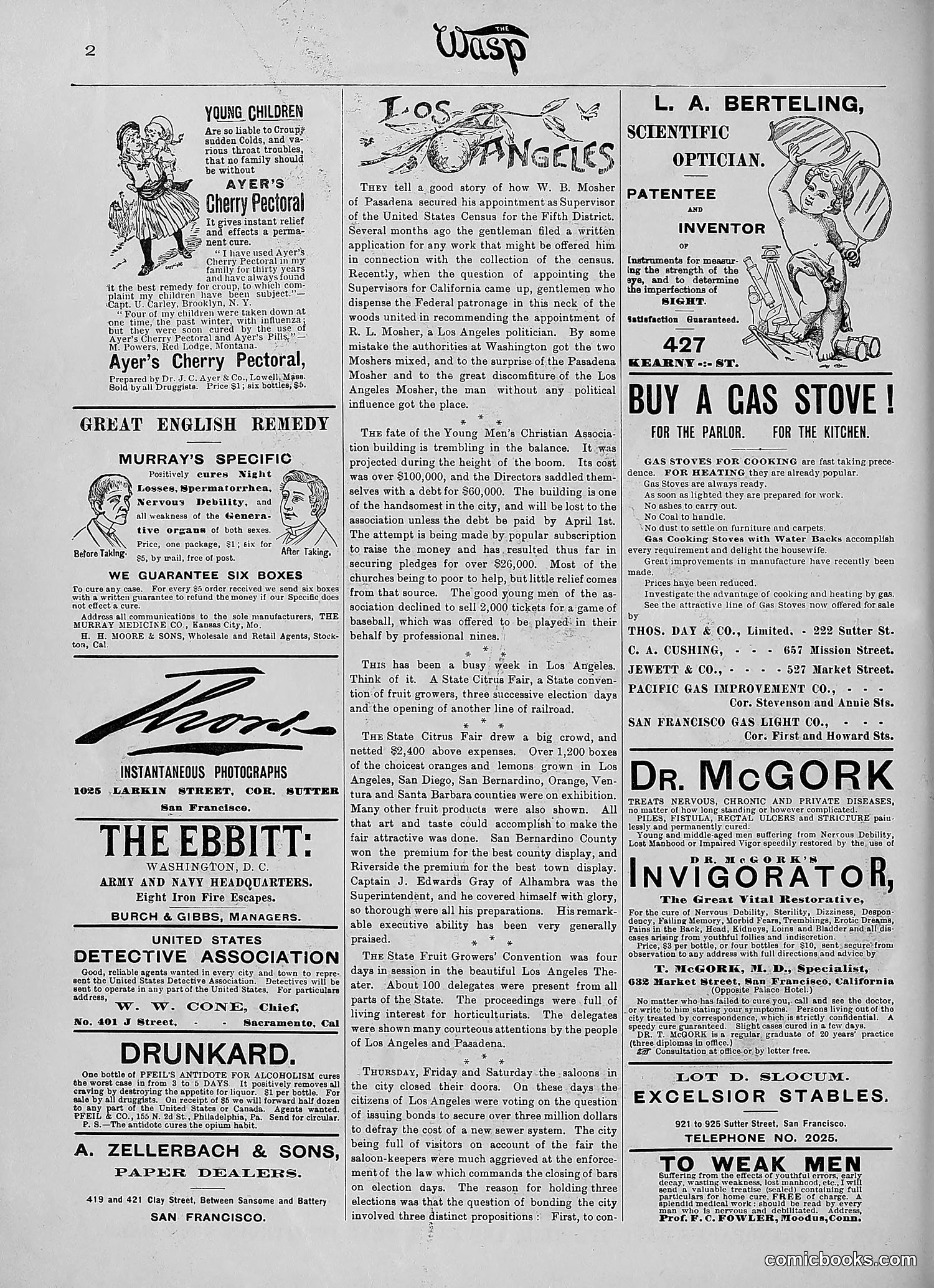 The Wasp — 1890 — page 225 of 516