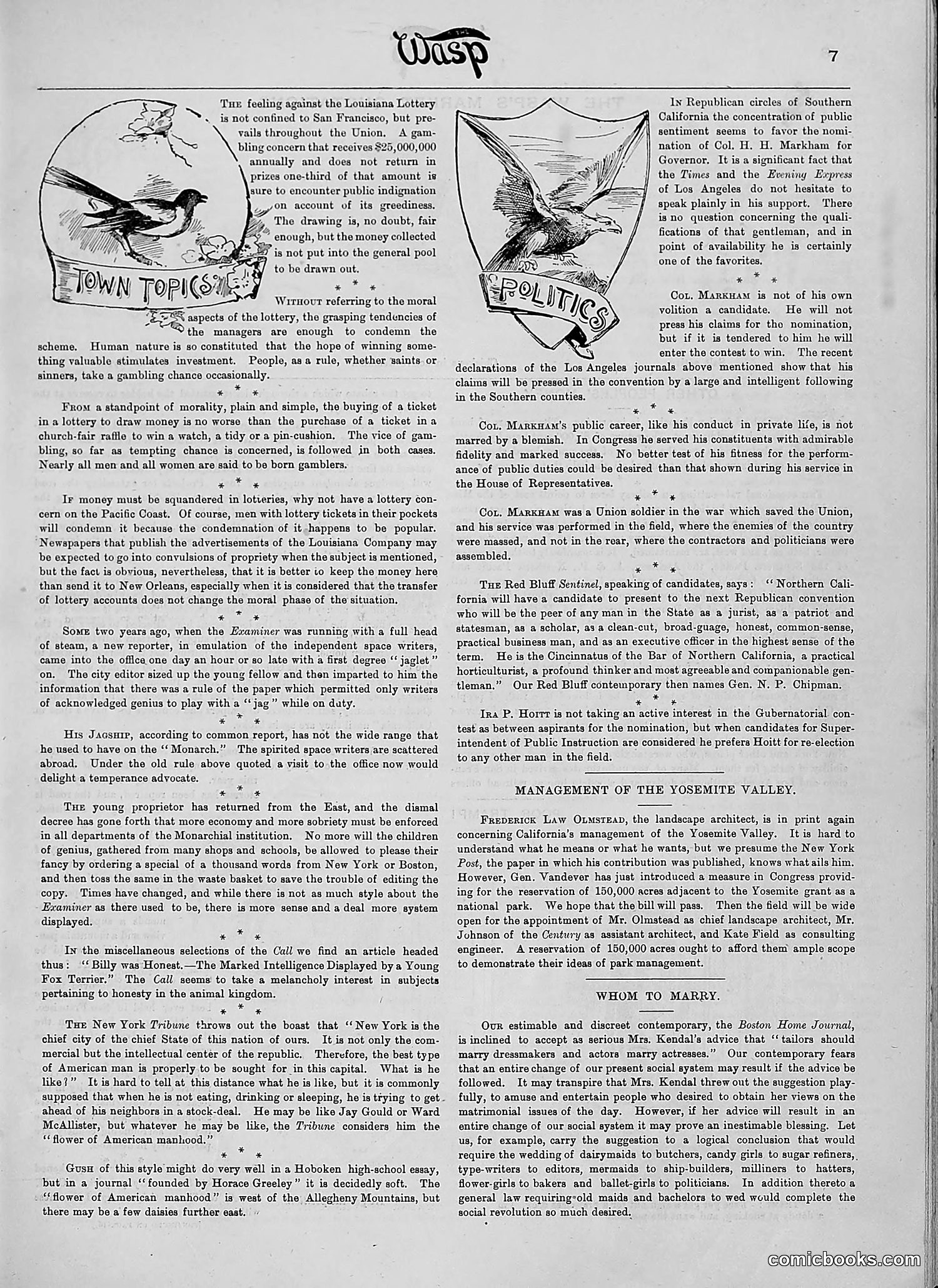 The Wasp — 1890 — page 230 of 516