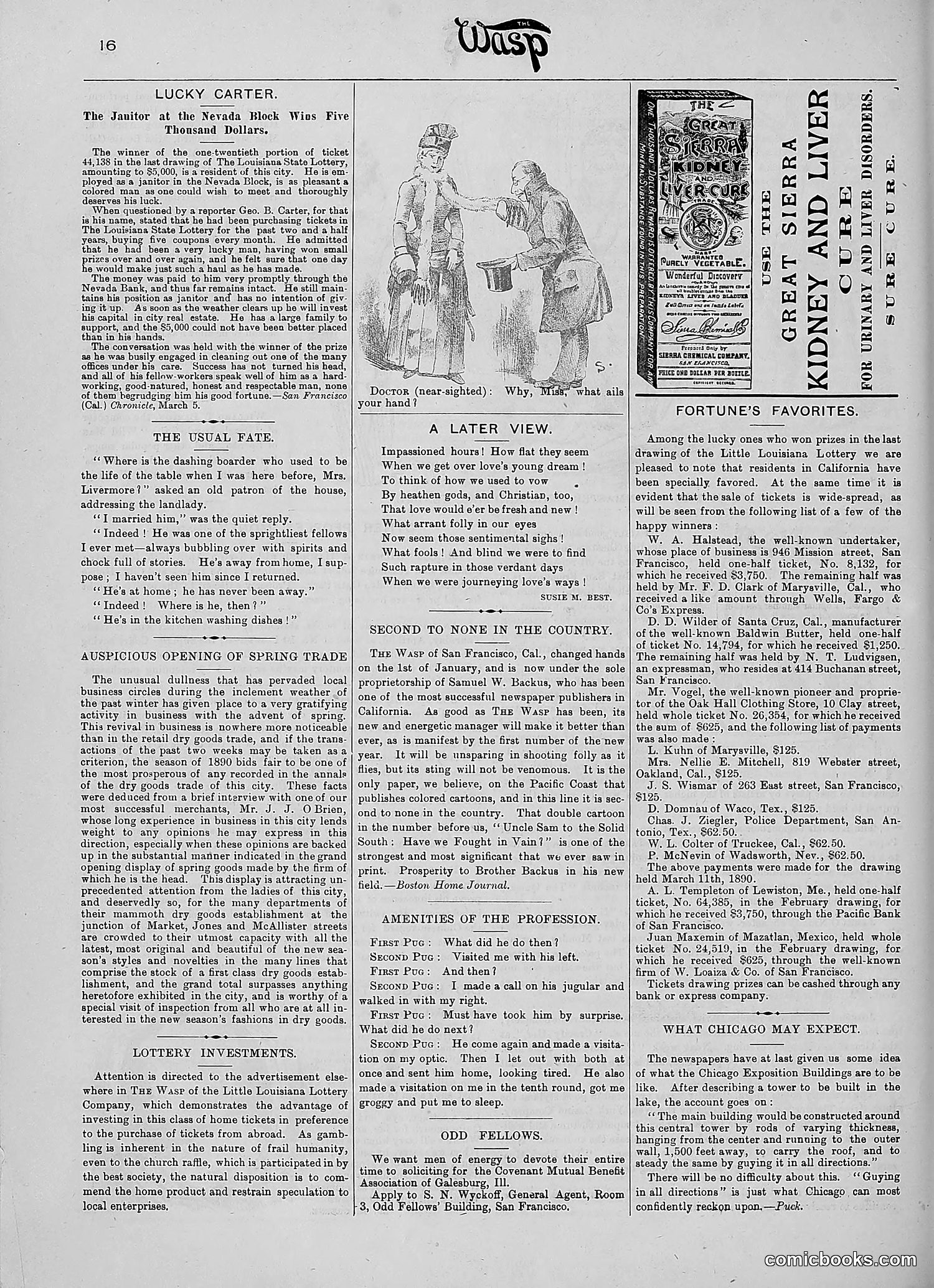 The Wasp — 1890 — page 239 of 516