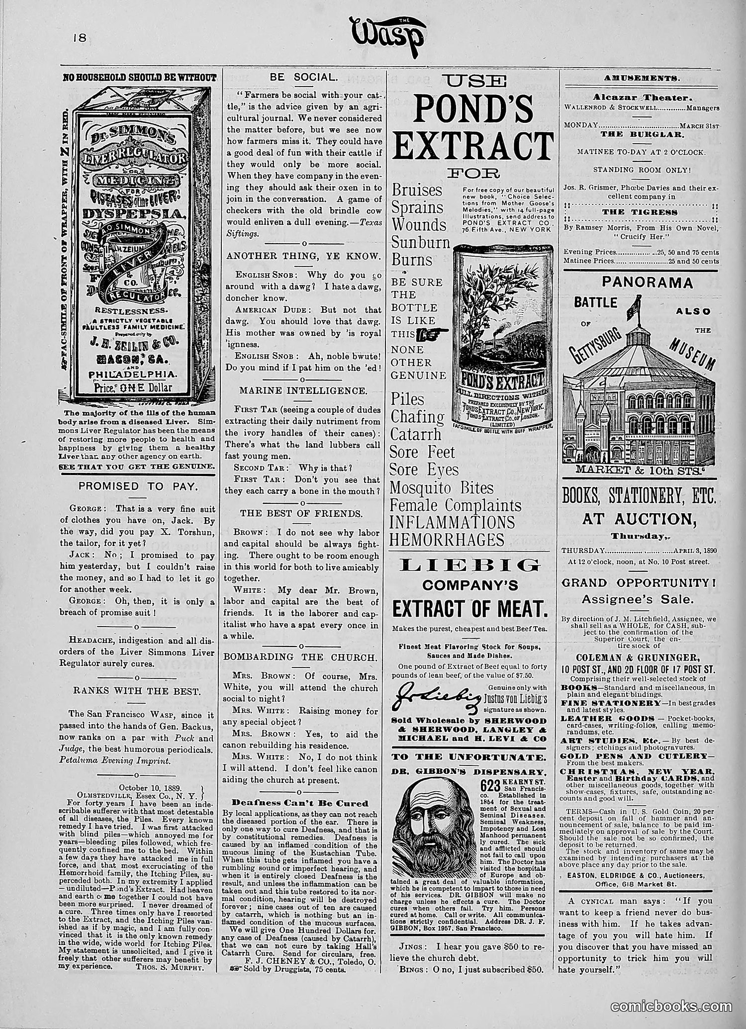 The Wasp — 1890 — page 241 of 516