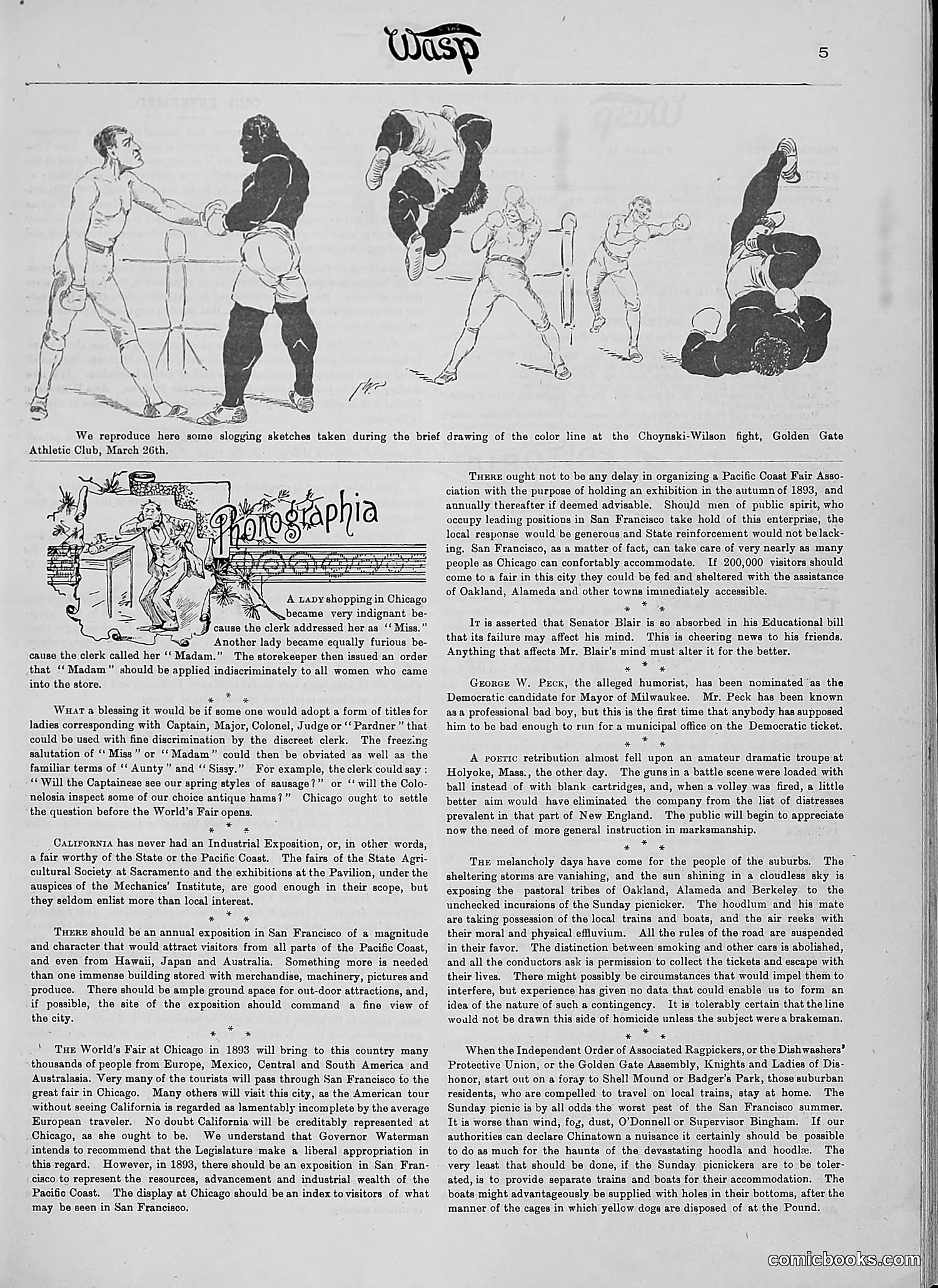 The Wasp — 1890 — page 248 of 516