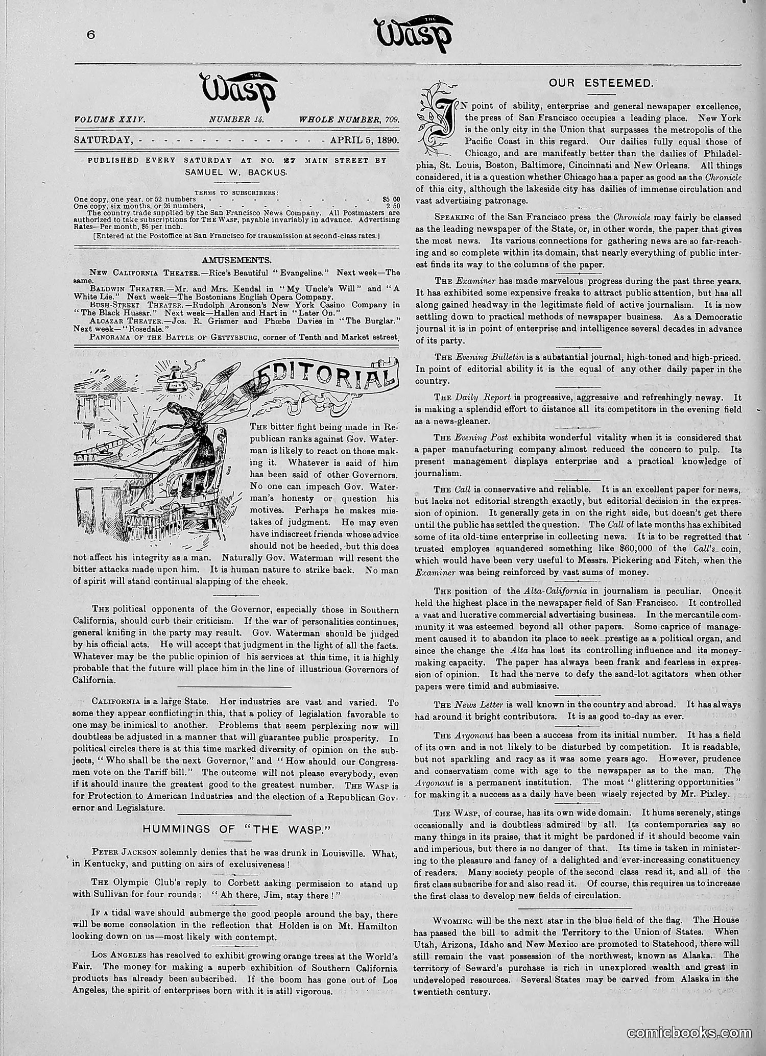 The Wasp — 1890 — page 249 of 516