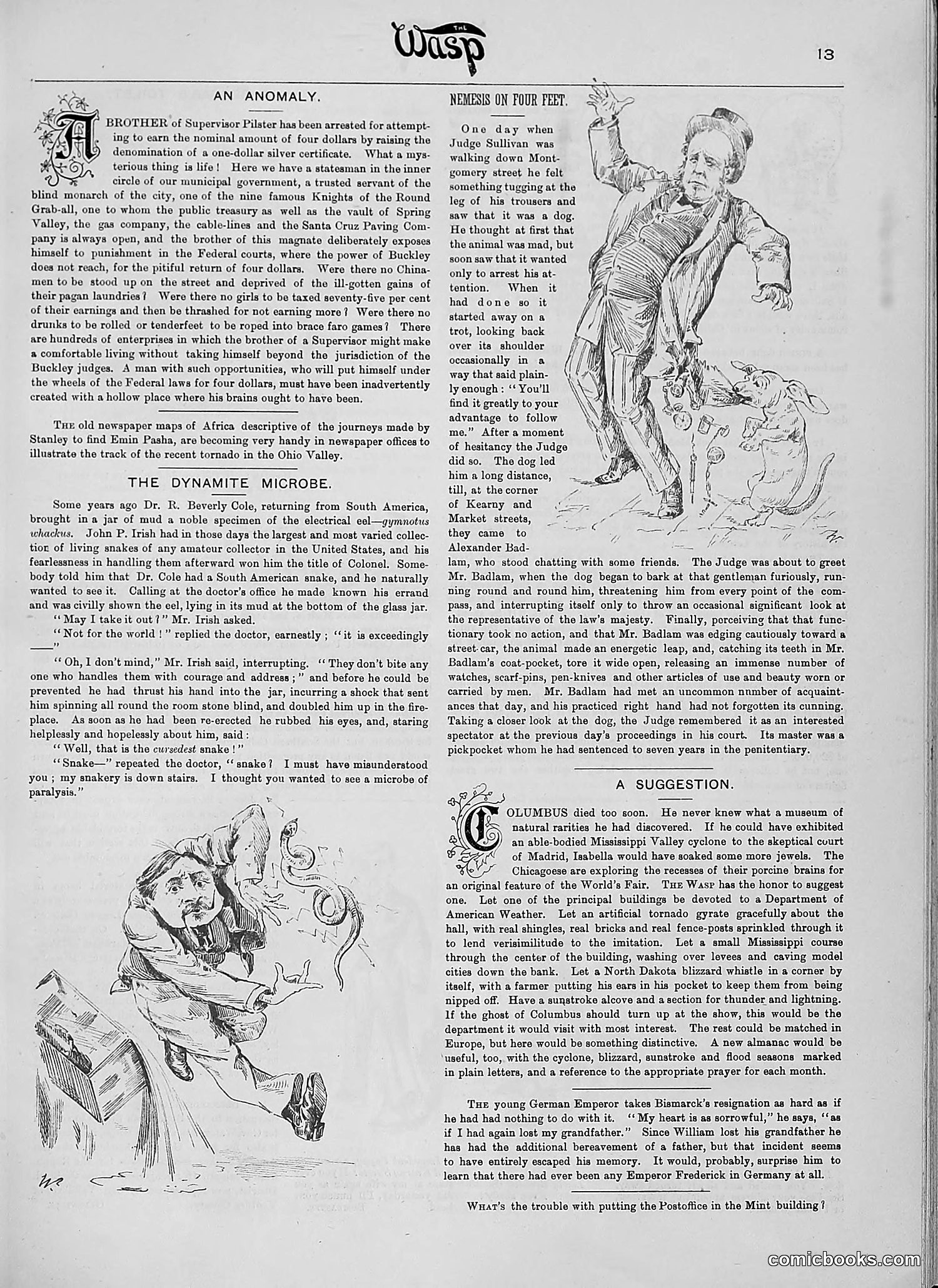 The Wasp — 1890 — page 256 of 516