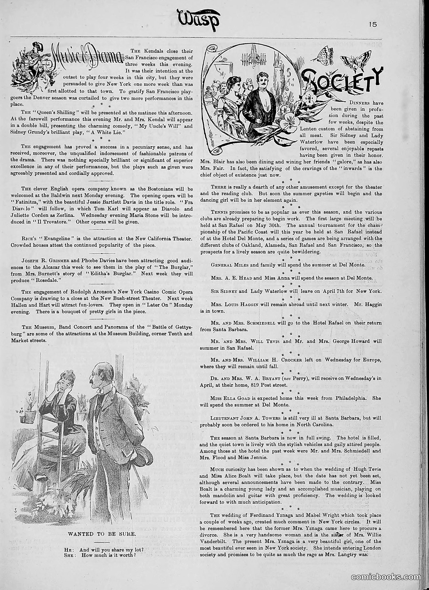 The Wasp — 1890 — page 258 of 516