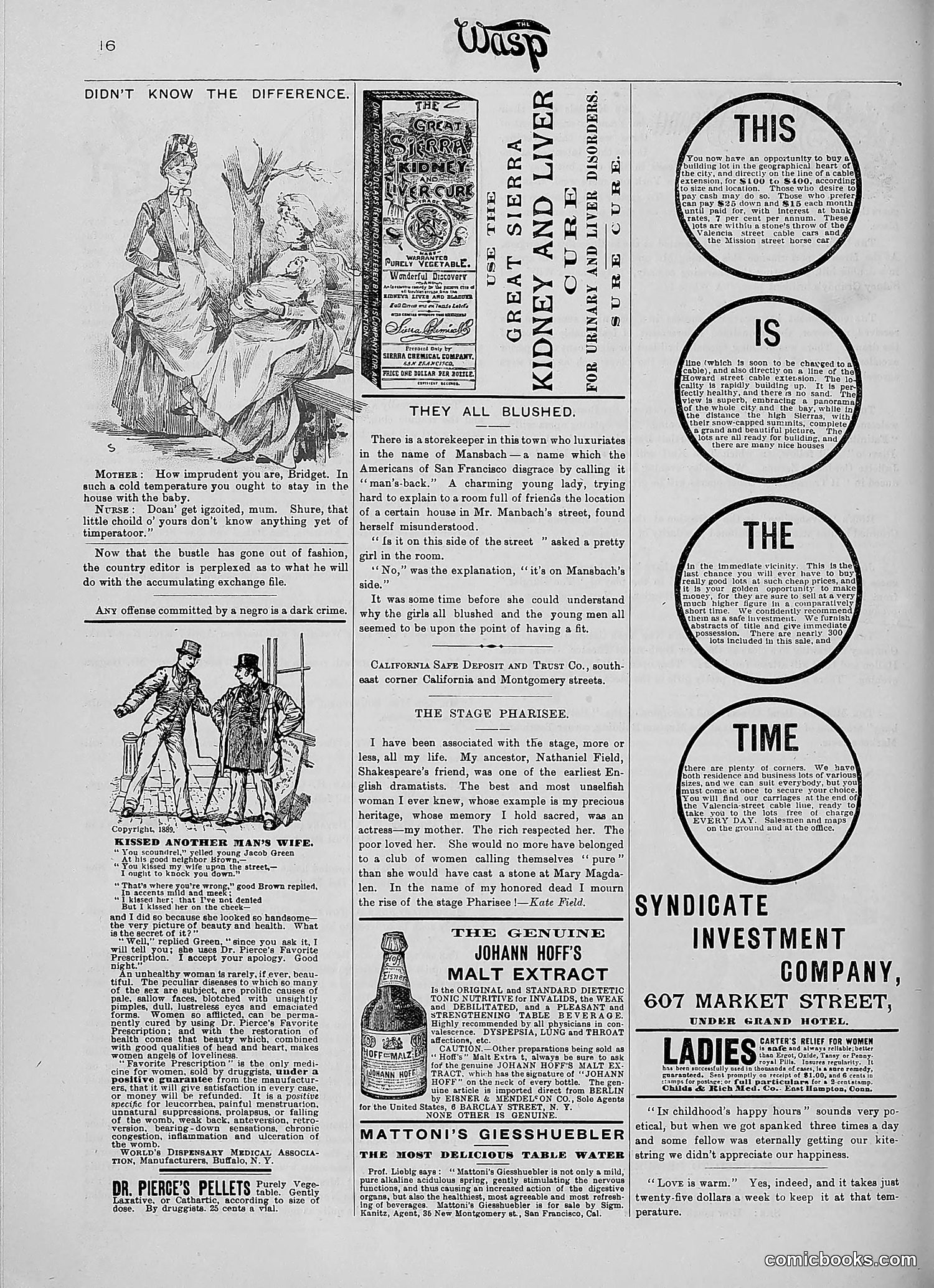 The Wasp — 1890 — page 259 of 516