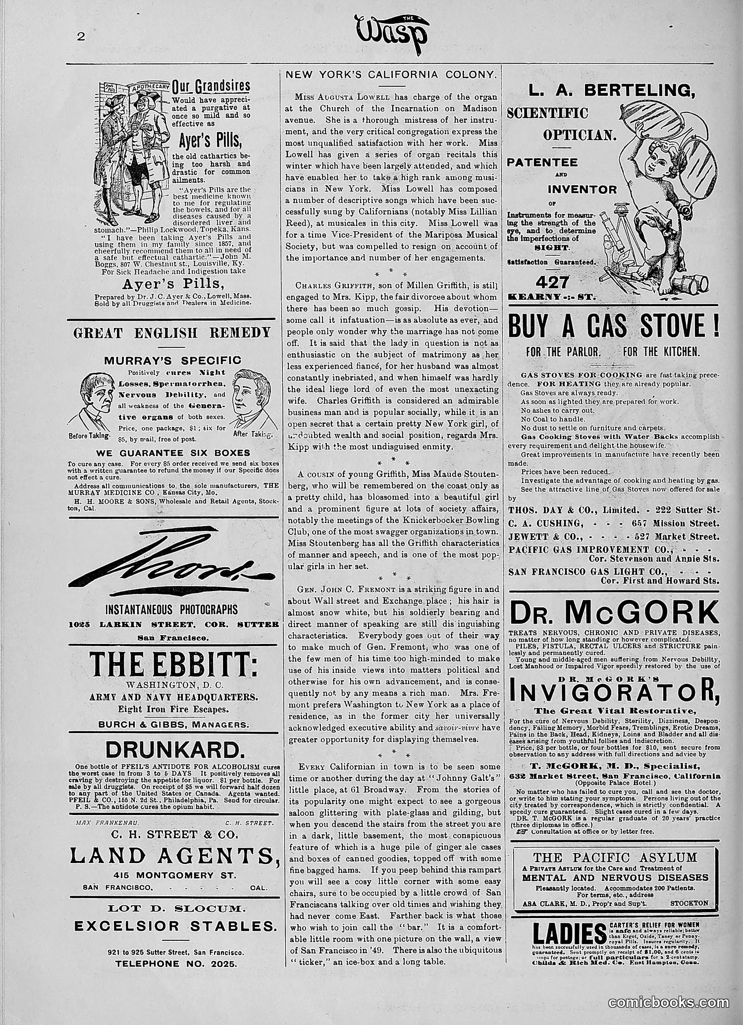 The Wasp — 1890 — page 267 of 516