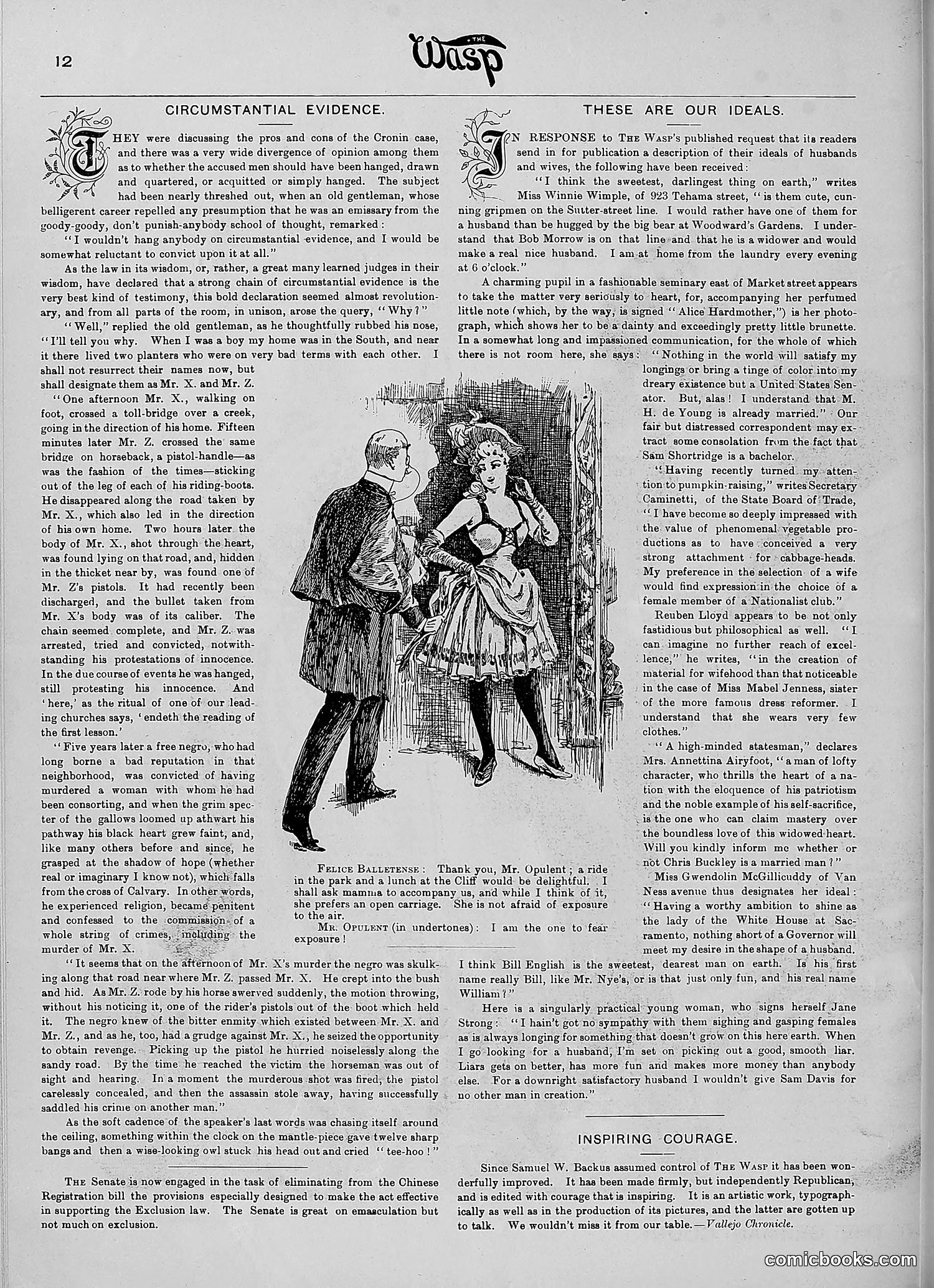 The Wasp — 1890 — page 277 of 516