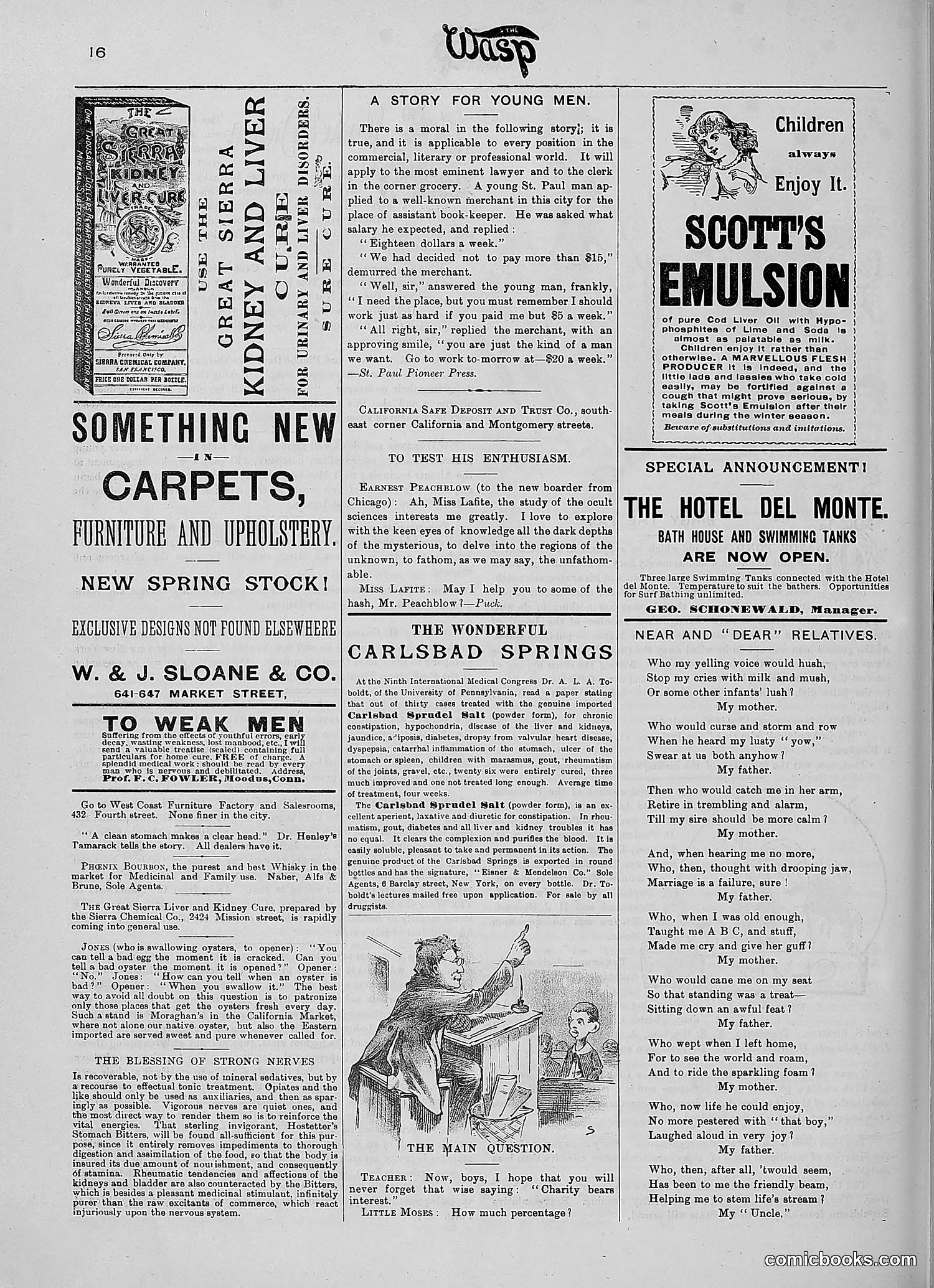The Wasp — 1890 — page 281 of 516