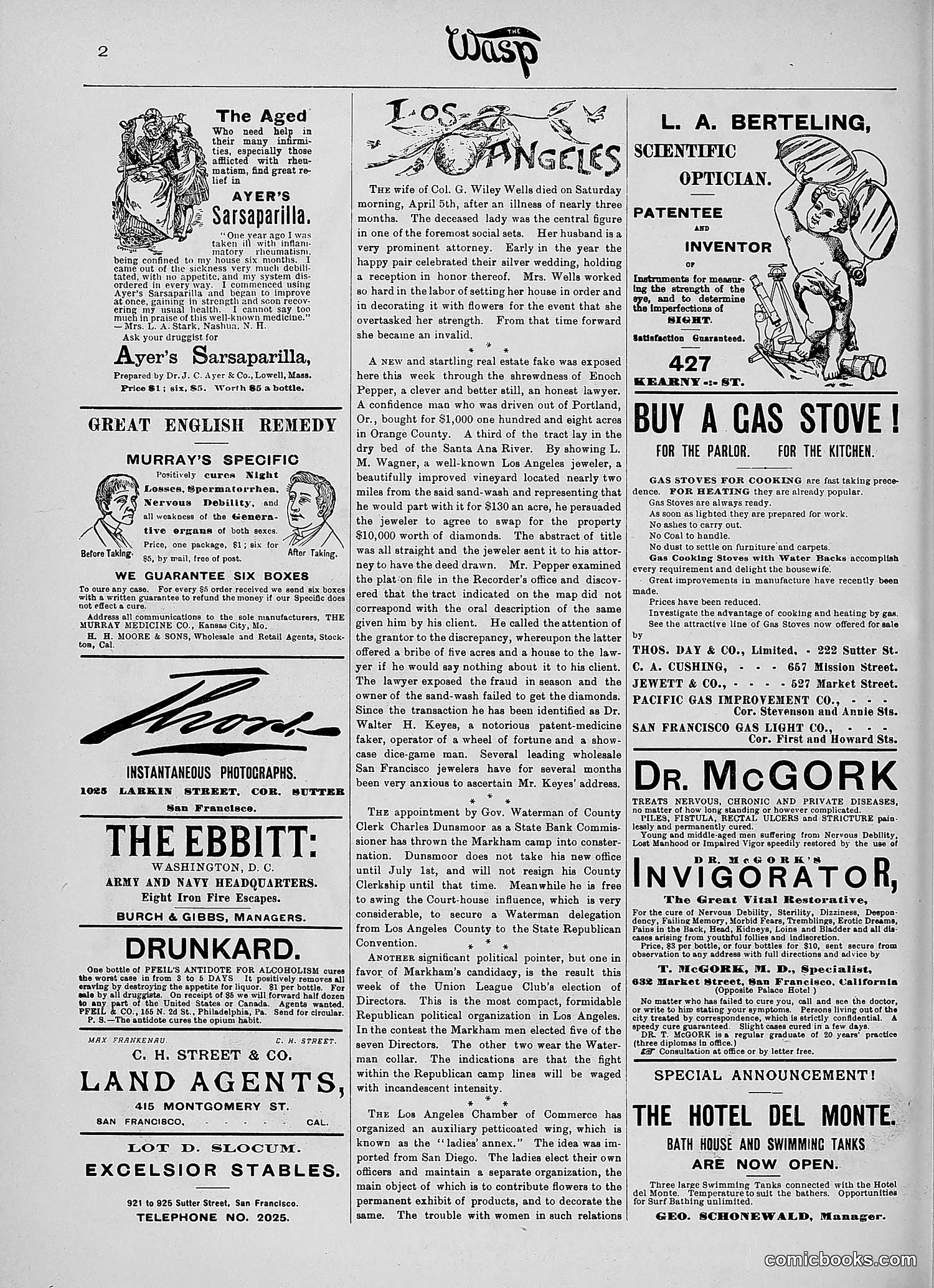 The Wasp — 1890 — page 287 of 516