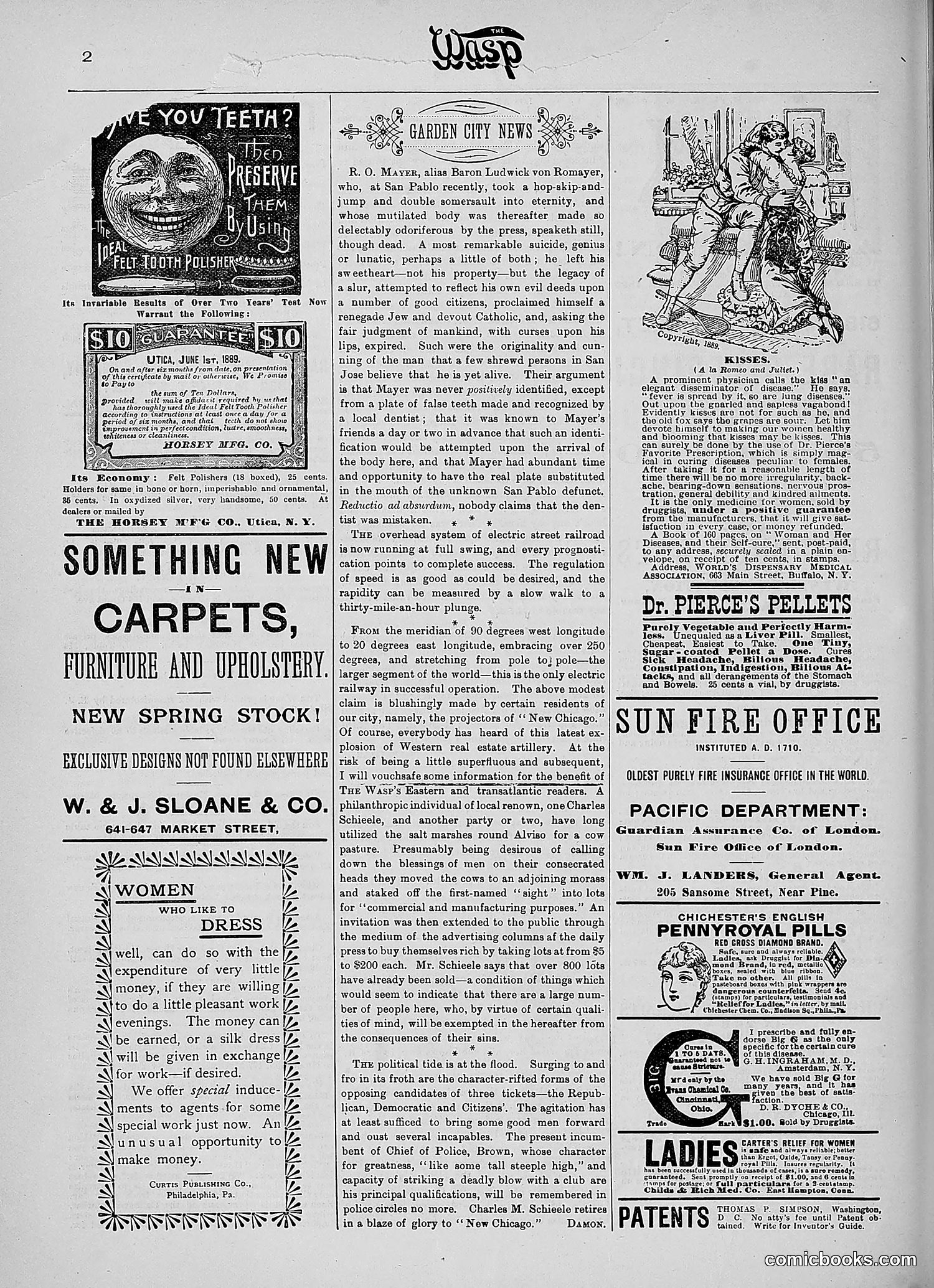 The Wasp — 1890 — page 289 of 516