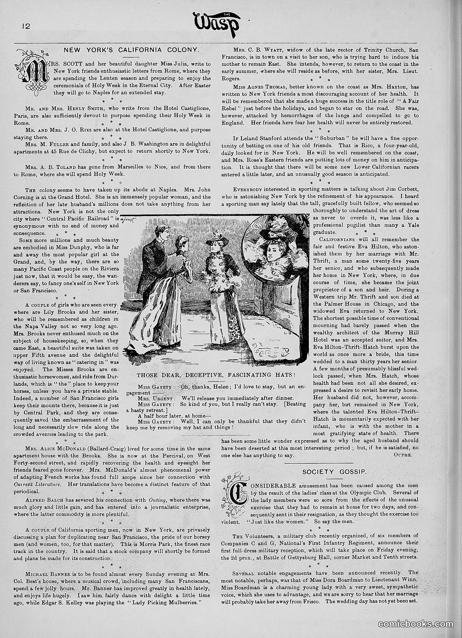 The Wasp — 1890 — page 299 of 516