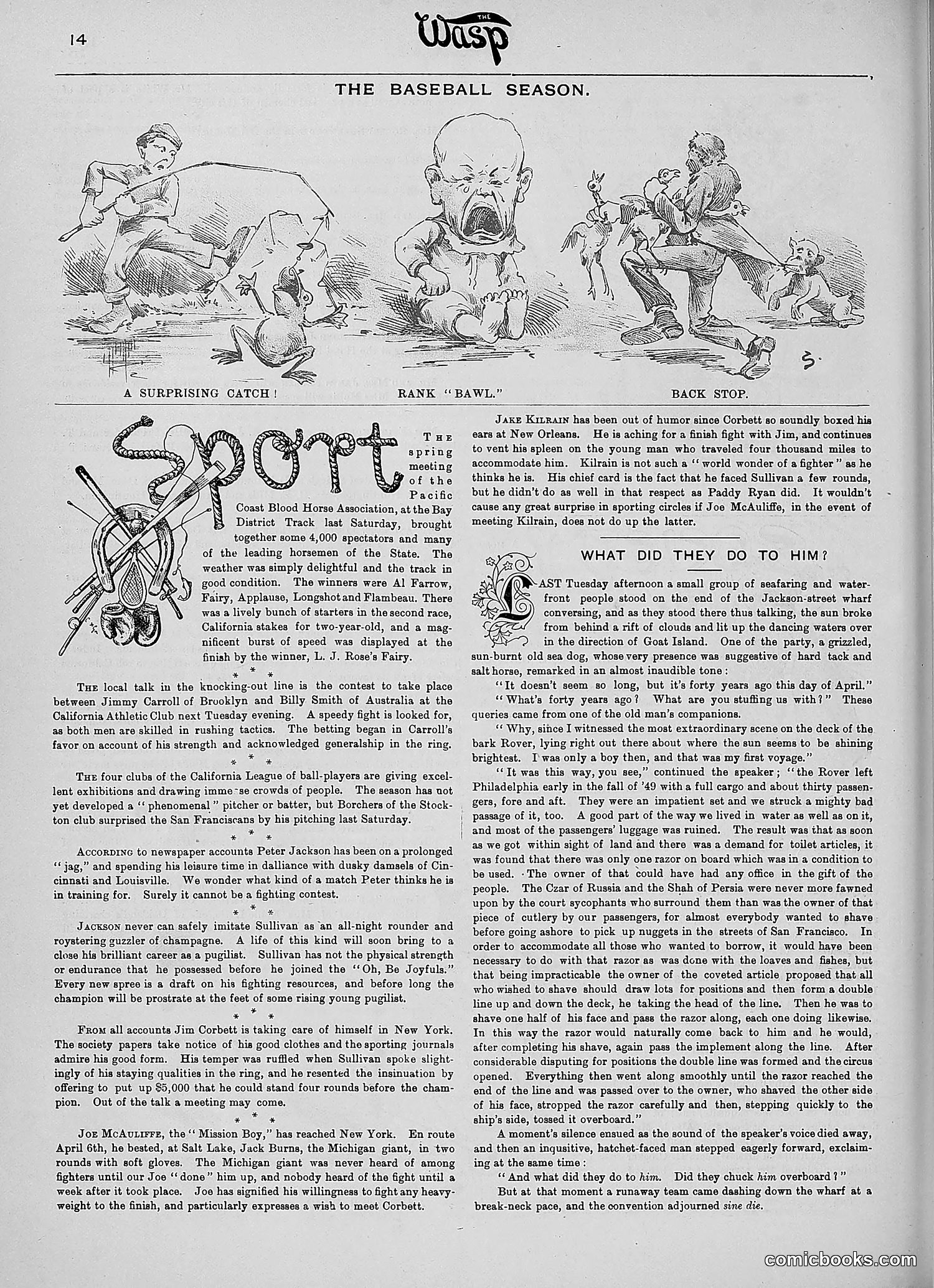 The Wasp — 1890 — page 301 of 516