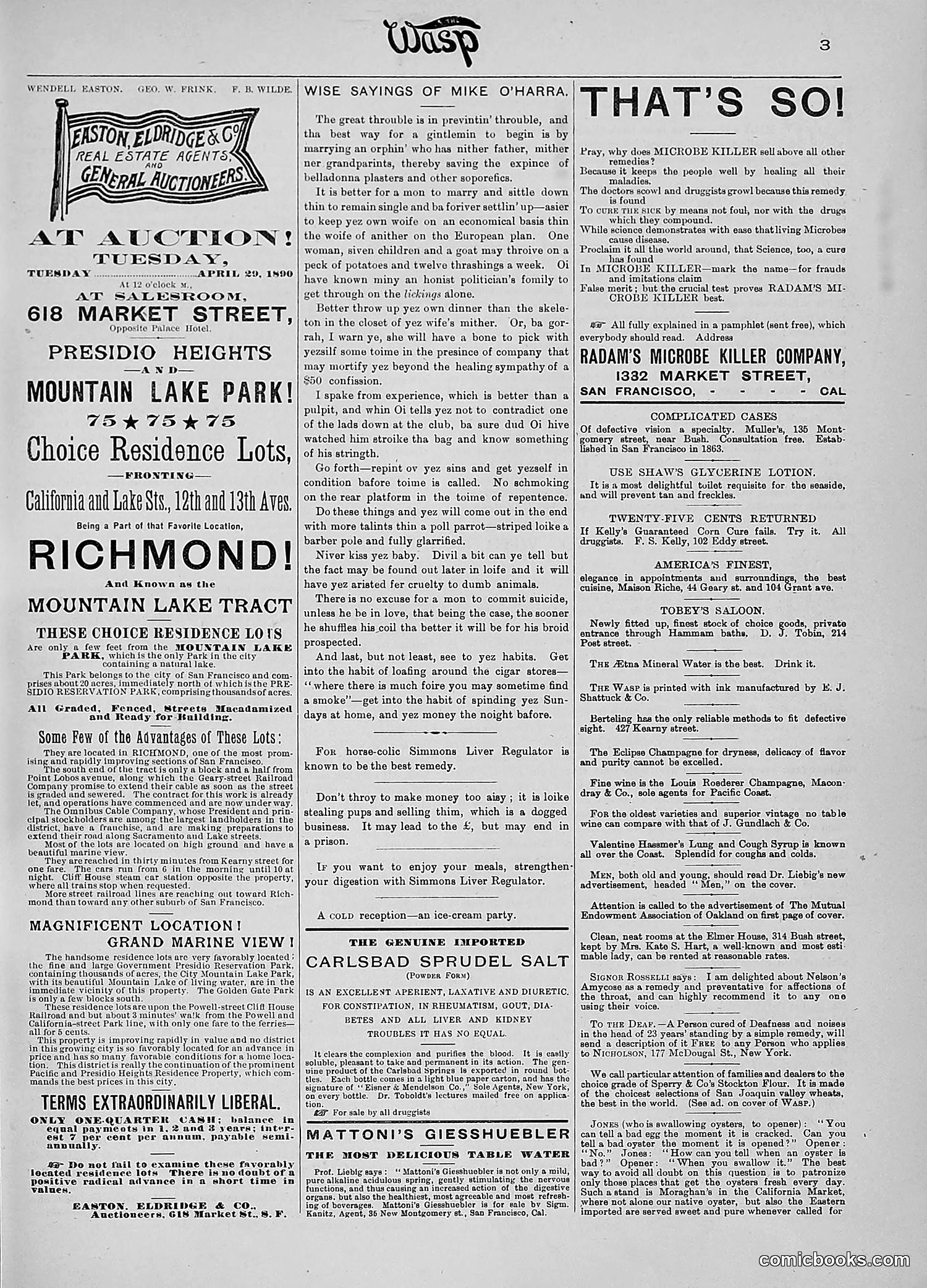 The Wasp — 1890 — page 310 of 516