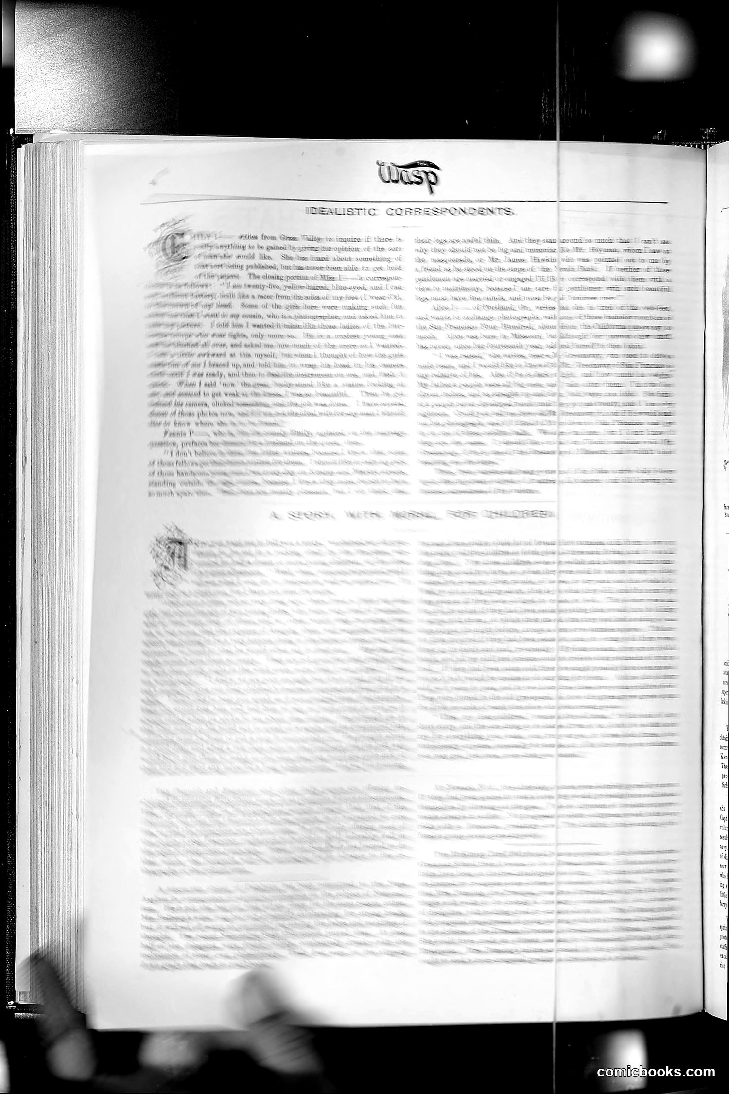 The Wasp — 1890 — page 311 of 516