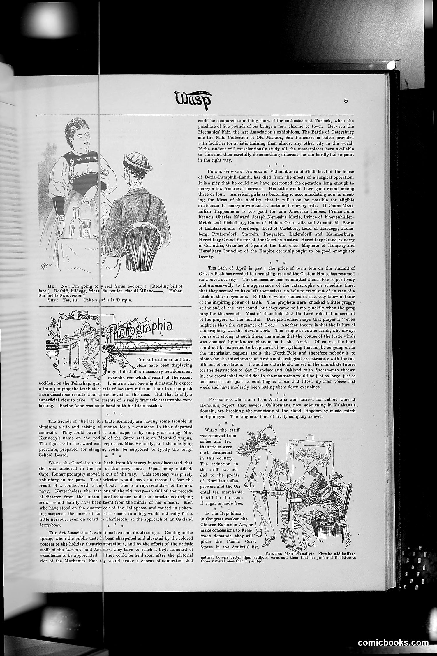 The Wasp — 1890 — page 312 of 516