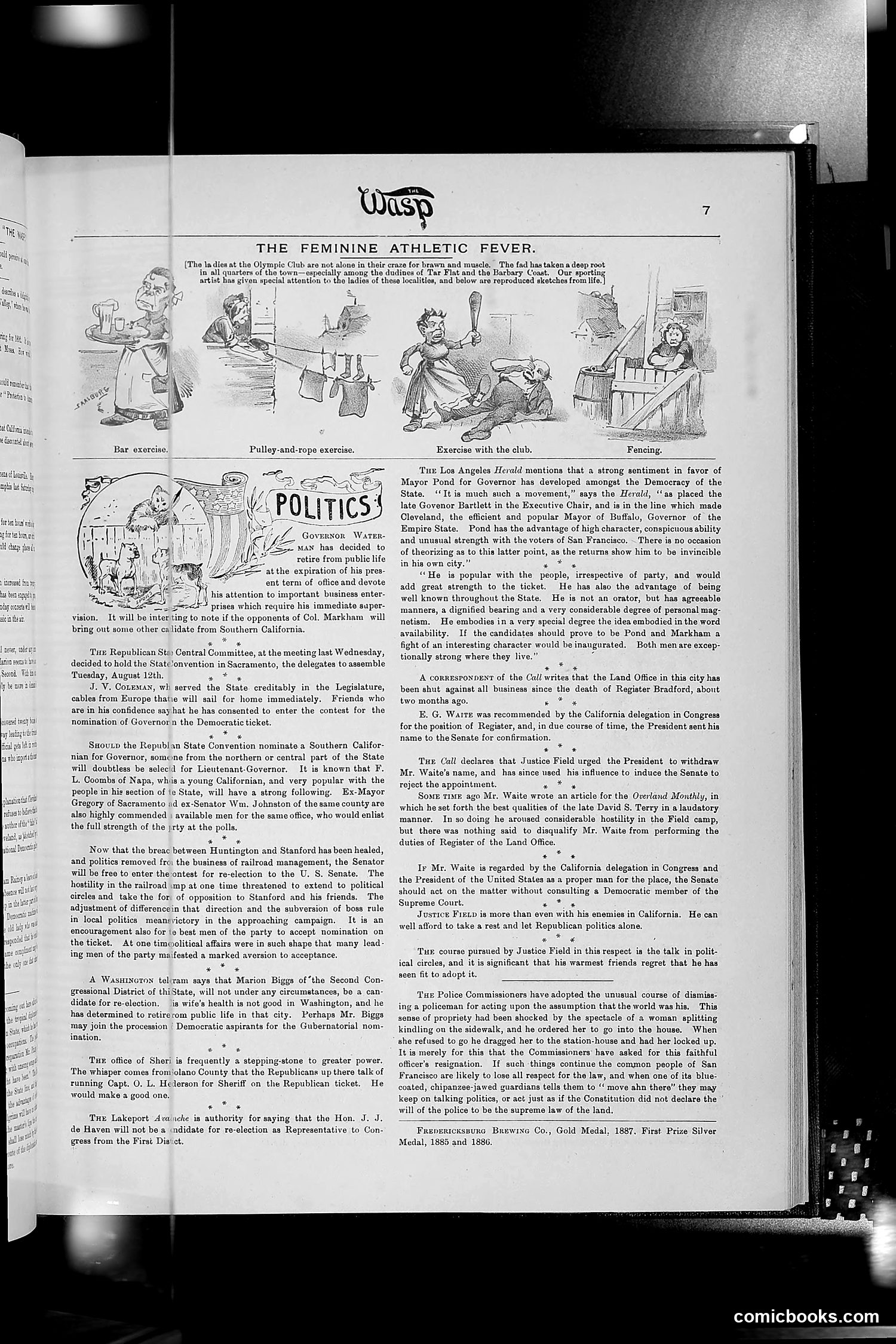 The Wasp — 1890 — page 316 of 516