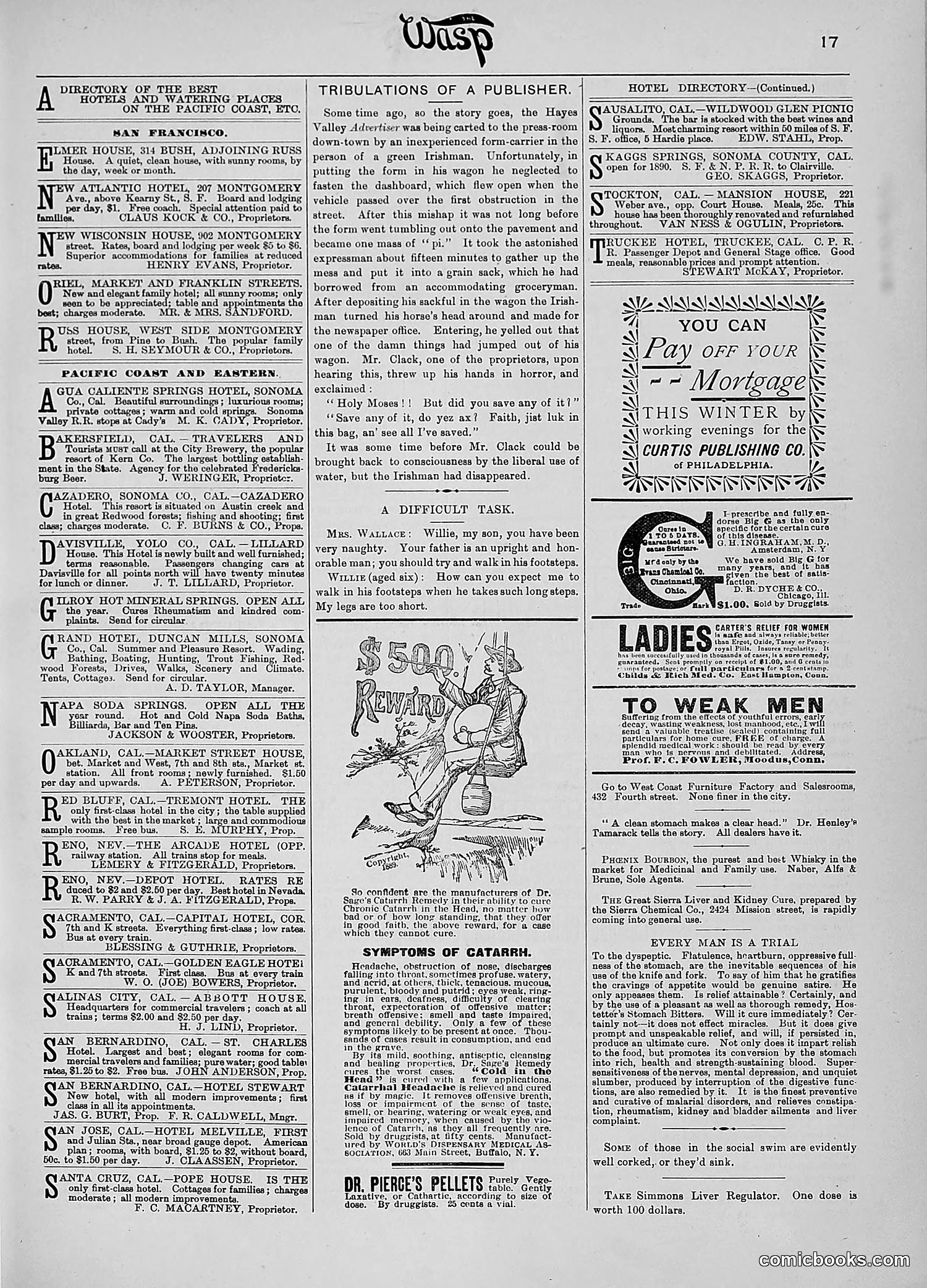 The Wasp — 1890 — page 328 of 516