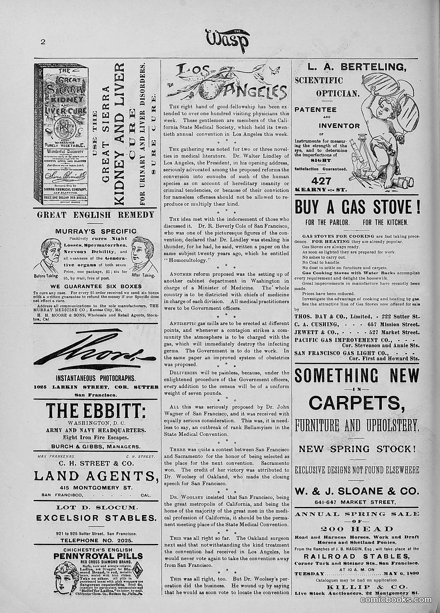 The Wasp — 1890 — page 333 of 516