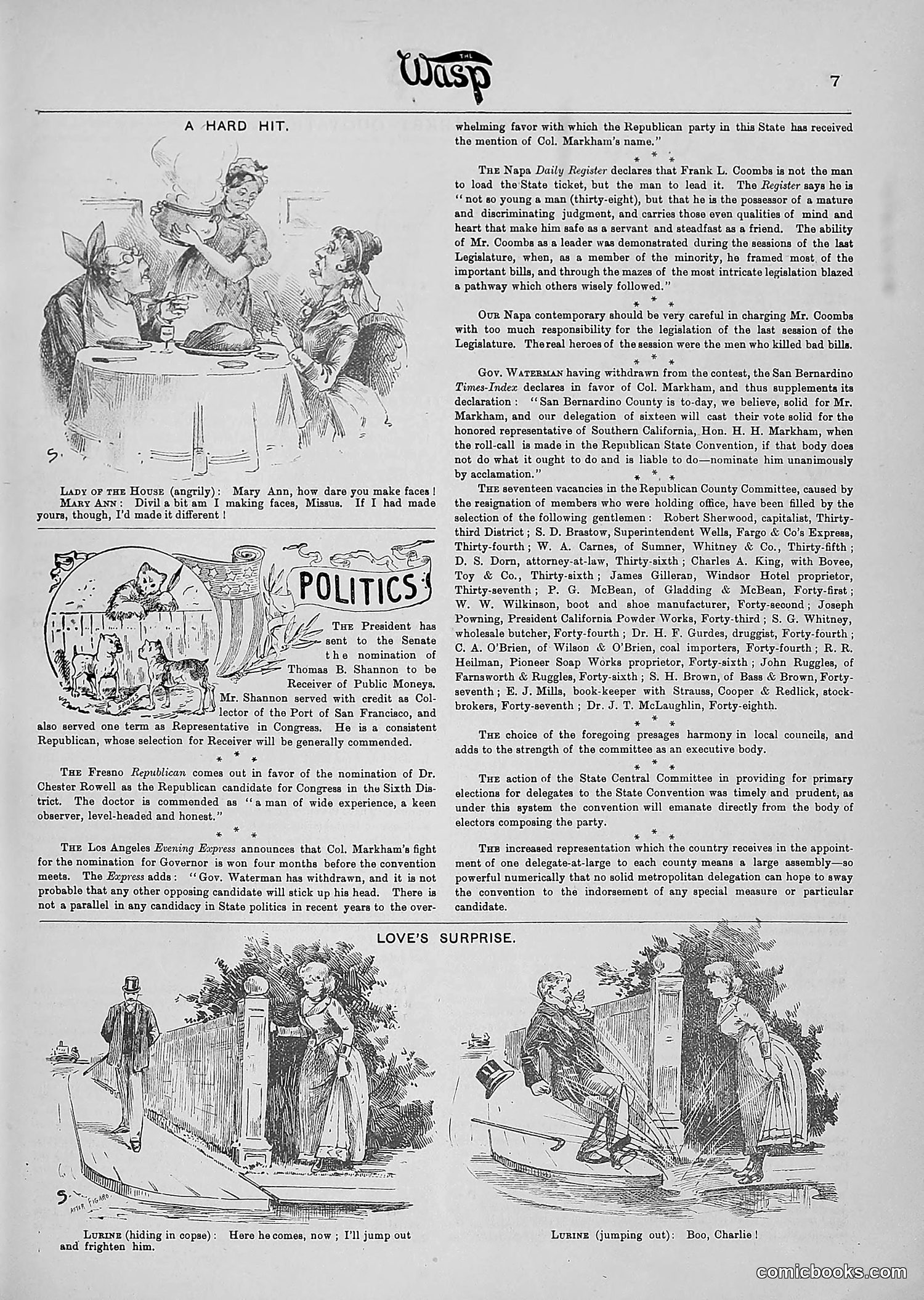 The Wasp — 1890 — page 338 of 516