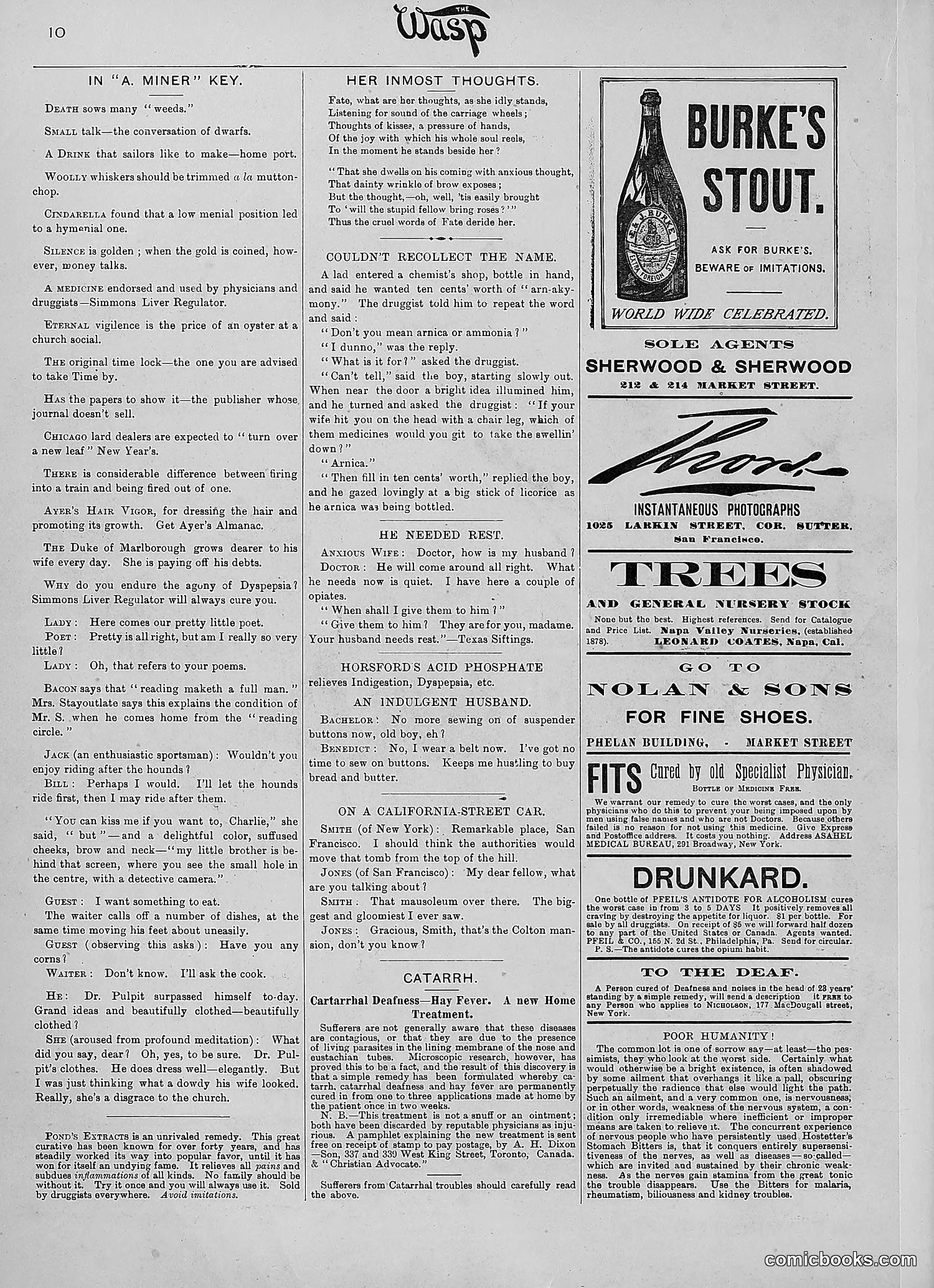 The Wasp — 1890 — page 35 of 516