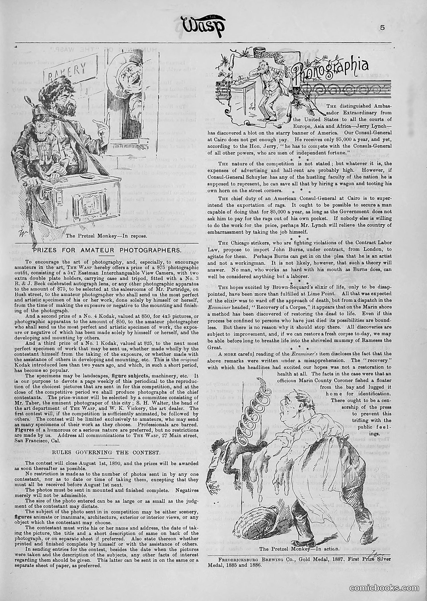 The Wasp — 1890 — page 356 of 516