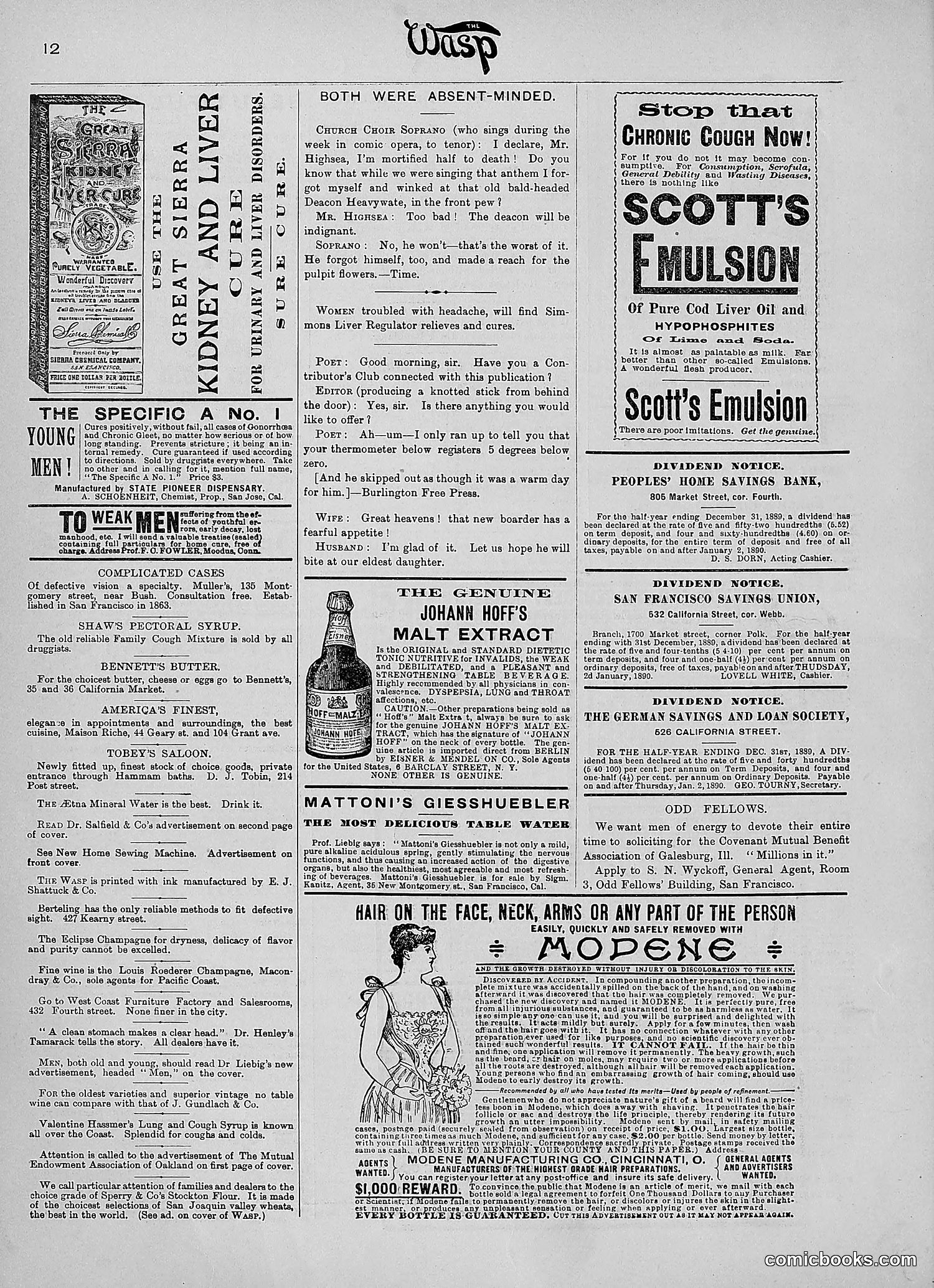 The Wasp — 1890 — page 37 of 516