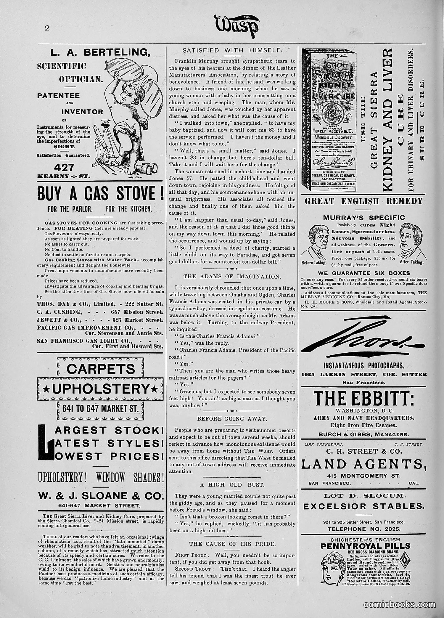 The Wasp — 1890 — page 373 of 516
