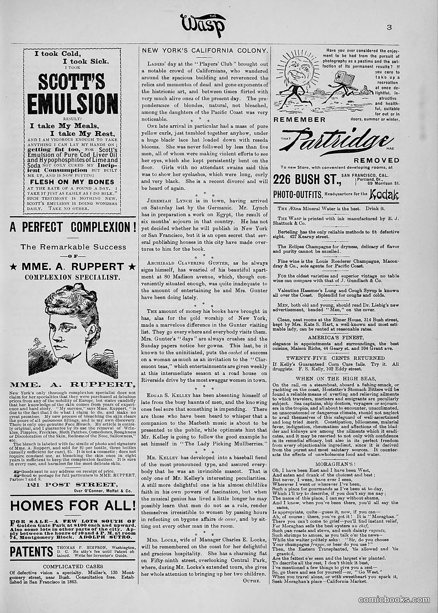 The Wasp — 1890 — page 374 of 516