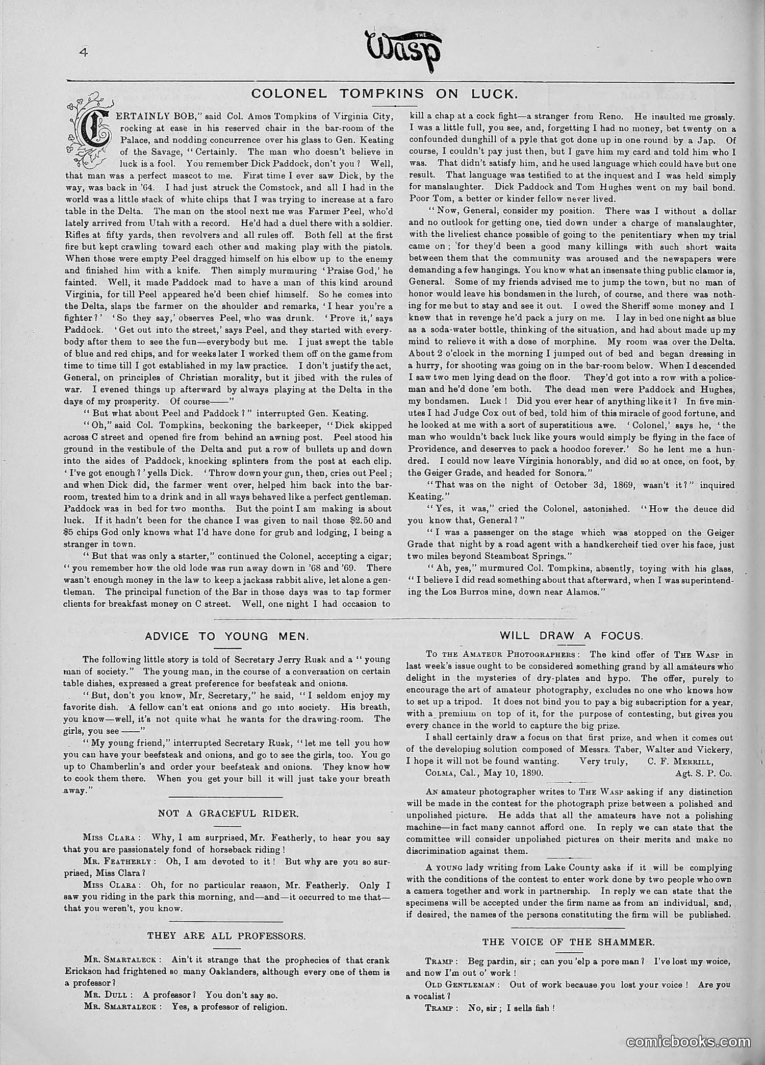 The Wasp — 1890 — page 375 of 516