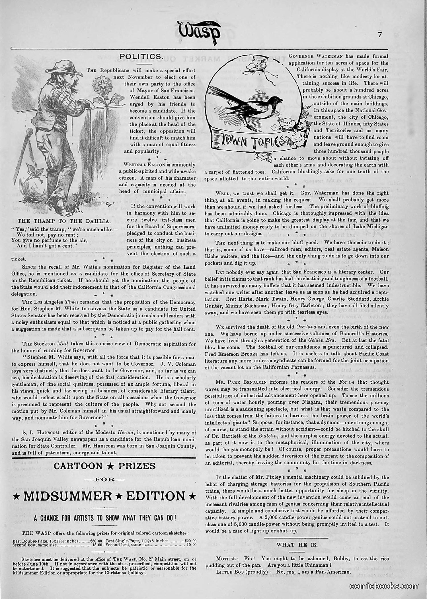 The Wasp — 1890 — page 378 of 516