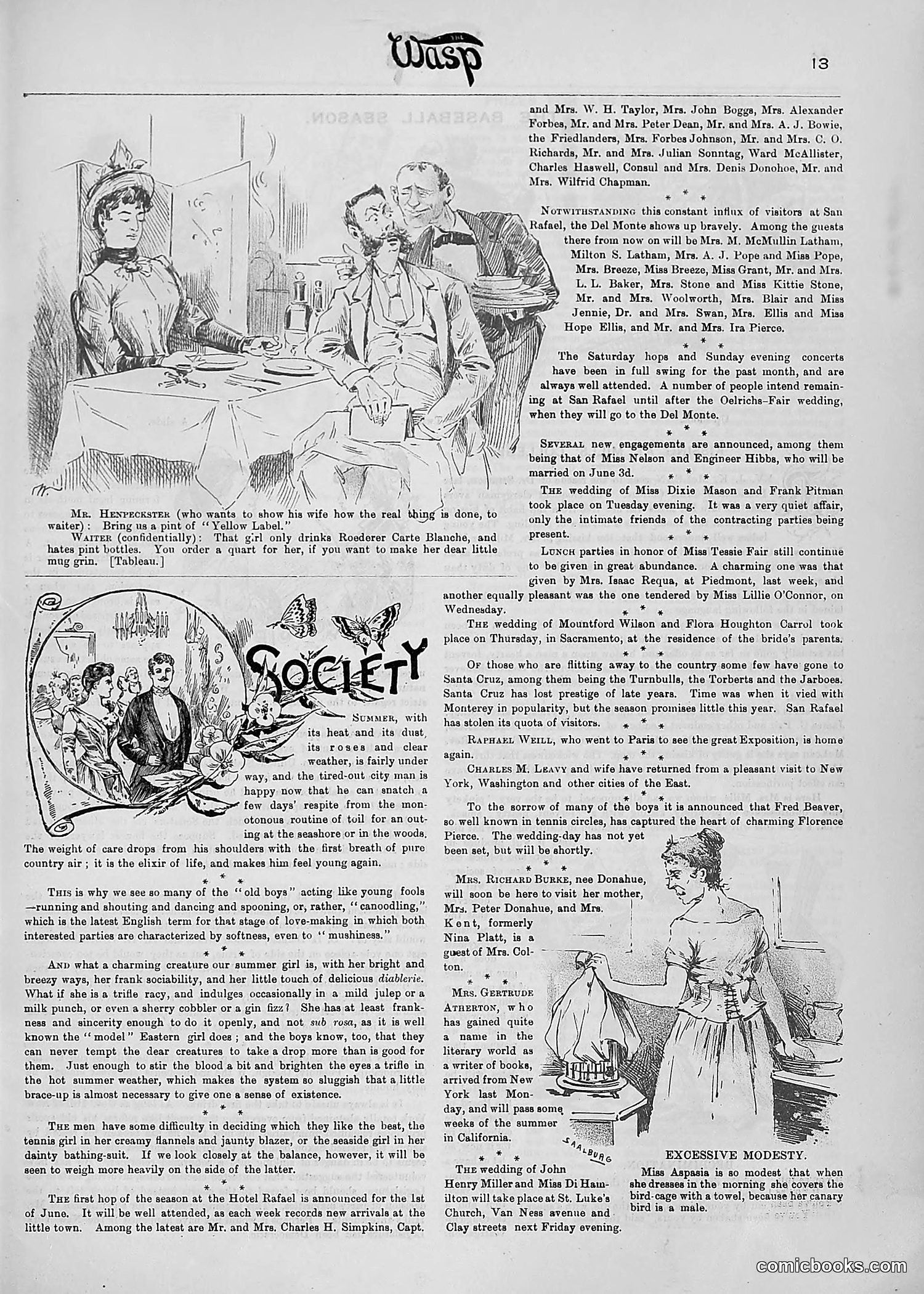 The Wasp — 1890 — page 384 of 516
